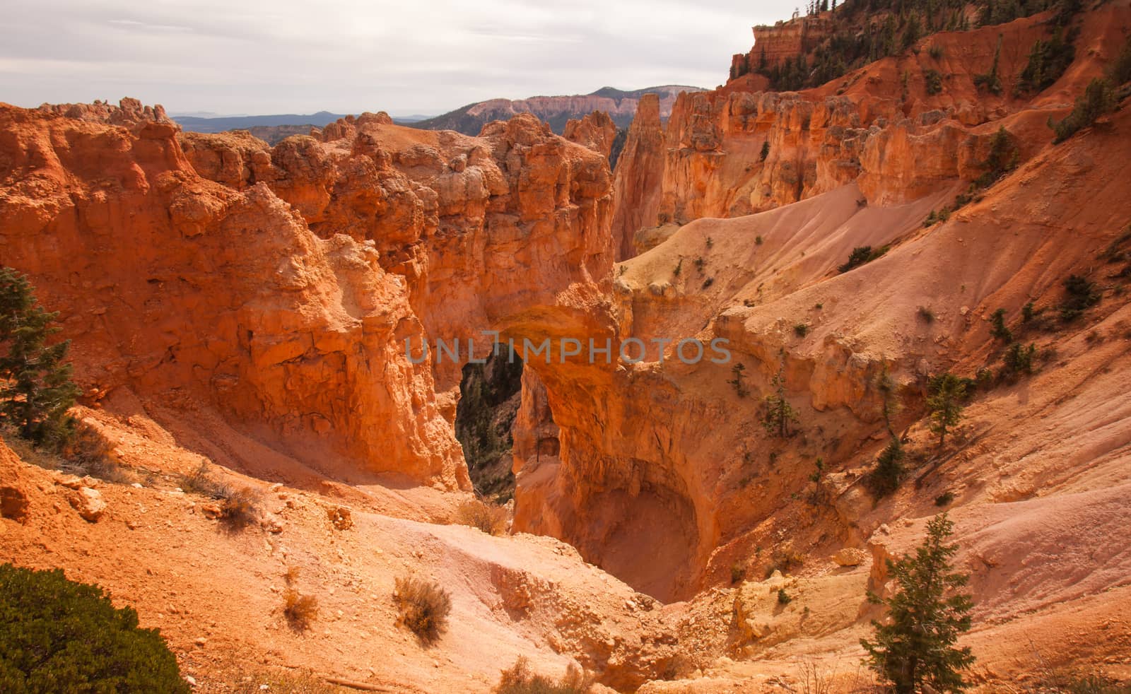 The Natural Bridge, photographed at Fair-view Point in Bryce Canyon National Park.Utah.