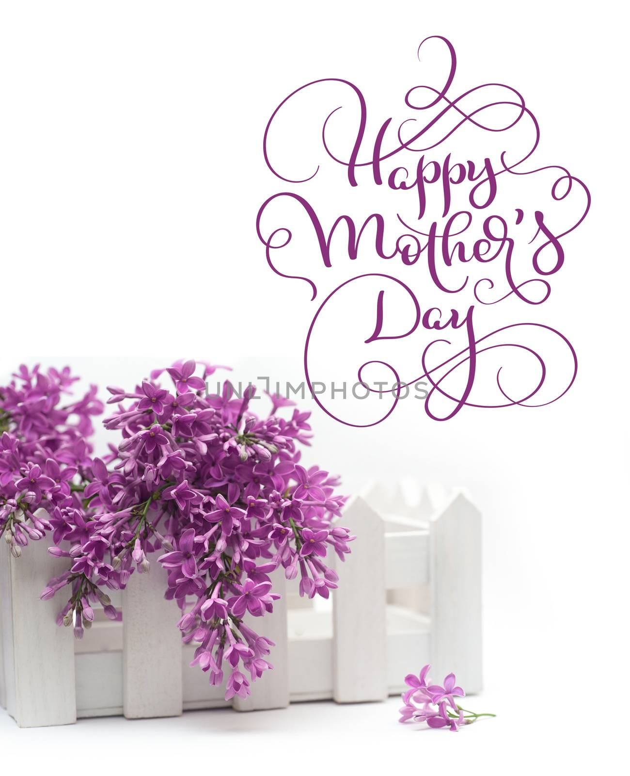 Beautiful spring lilac and a small fence on the white background and text Happy mothers day. Calligraphy lettering hand draw by timonko