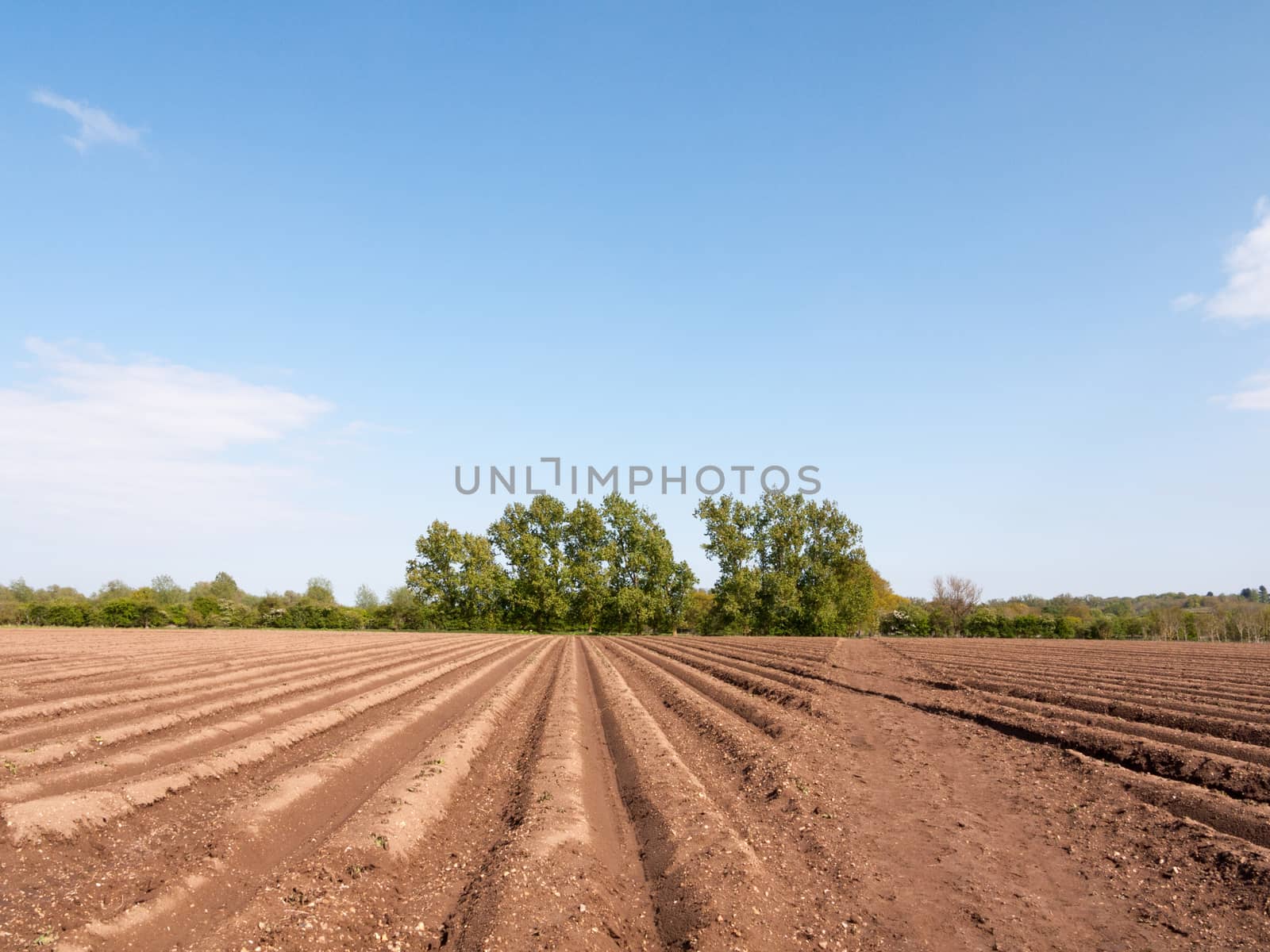 farmland with tractor tracks in the soil mud field wet and waiting to be planted in