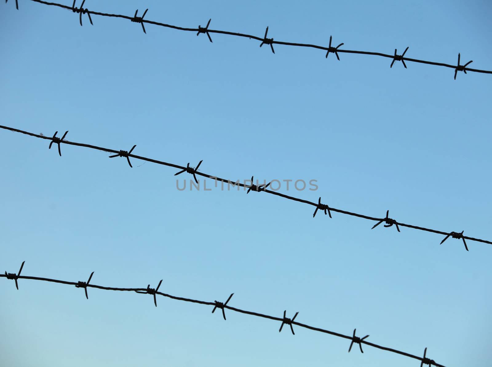 sky is enclosed by sharp barbed wire fence