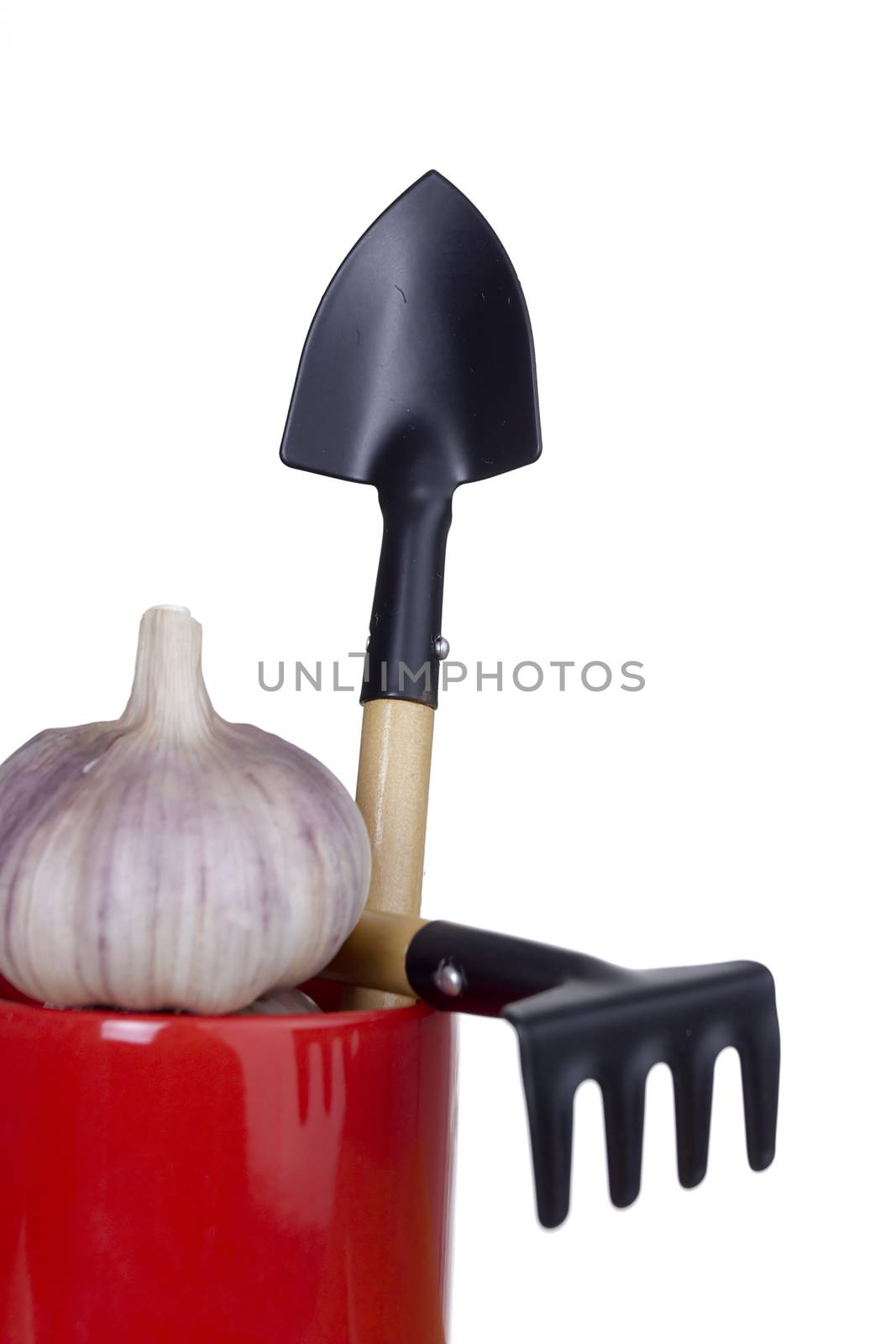 Set of garden tools in a glass pen on the desktop