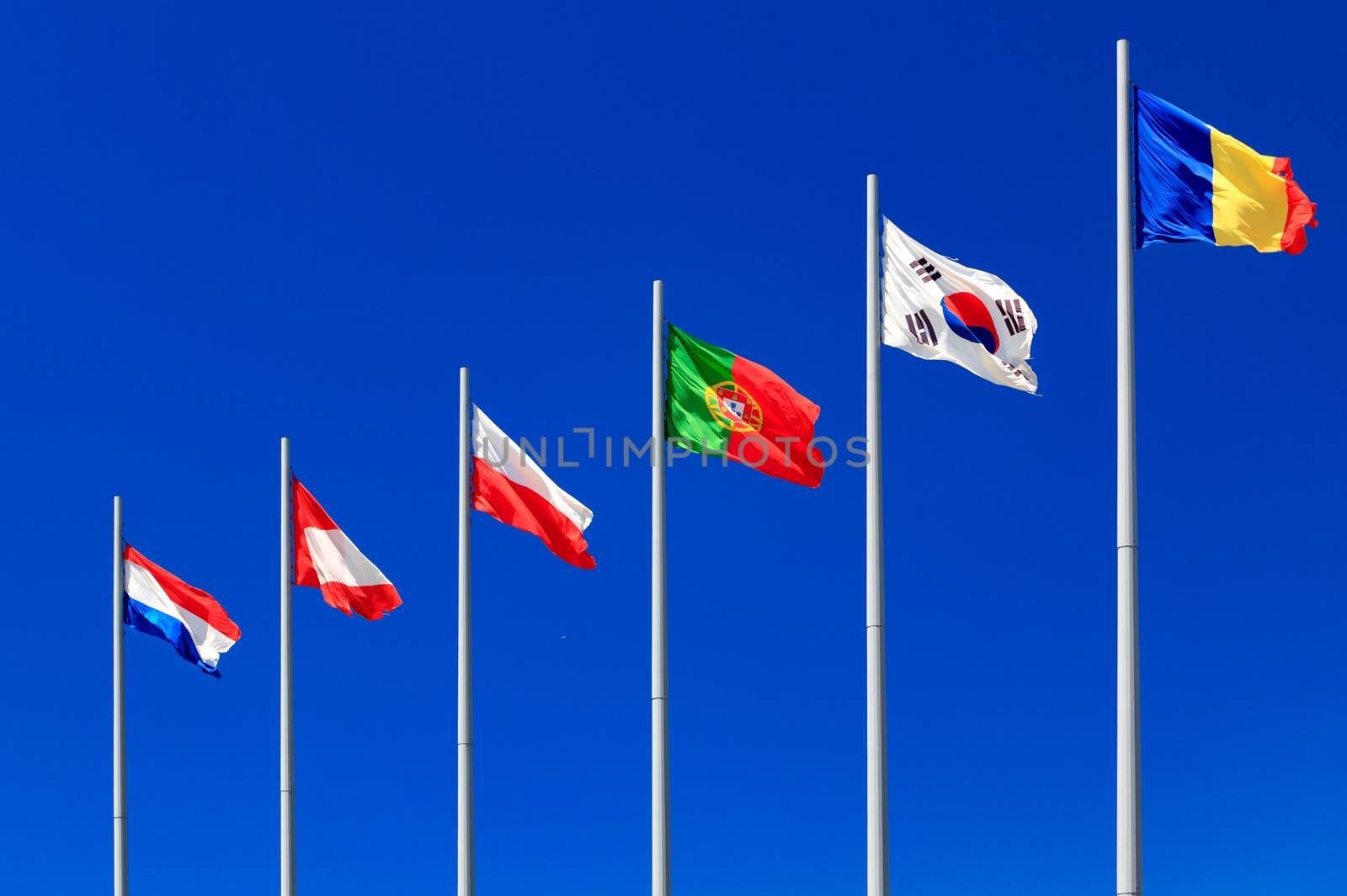 International flags against a blue sky by Nobilior