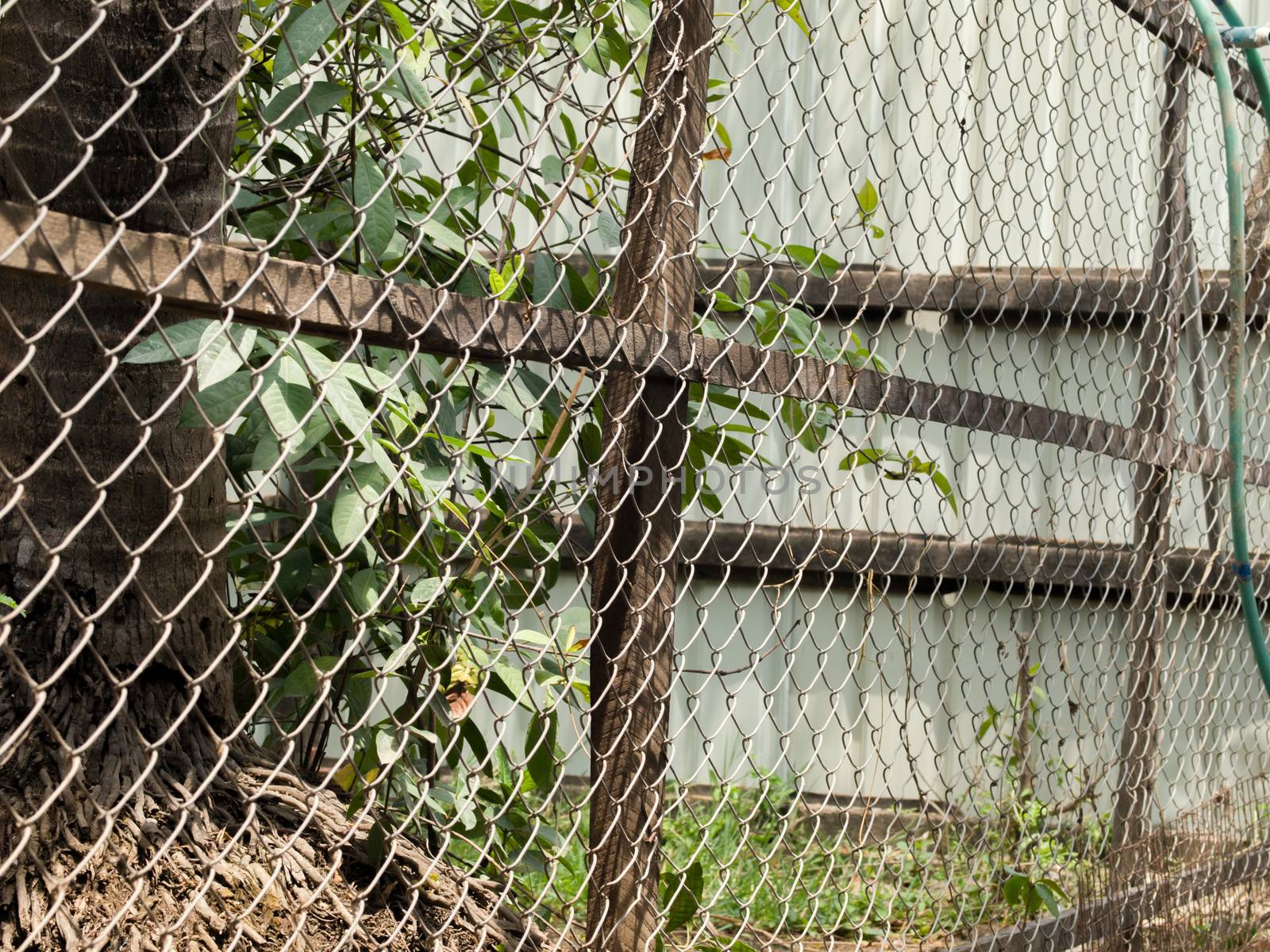 COLOR PHOTO OF CHAIN-LINK FENCE (ALSO REFERRED TO AS WIRE NETTING, WIRE-MESH FENCE, CHAIN-WIRE FENCE, CYCLONE FENCE, HURRICANE FENCE, OR DIAMOND-MESH FENCE)