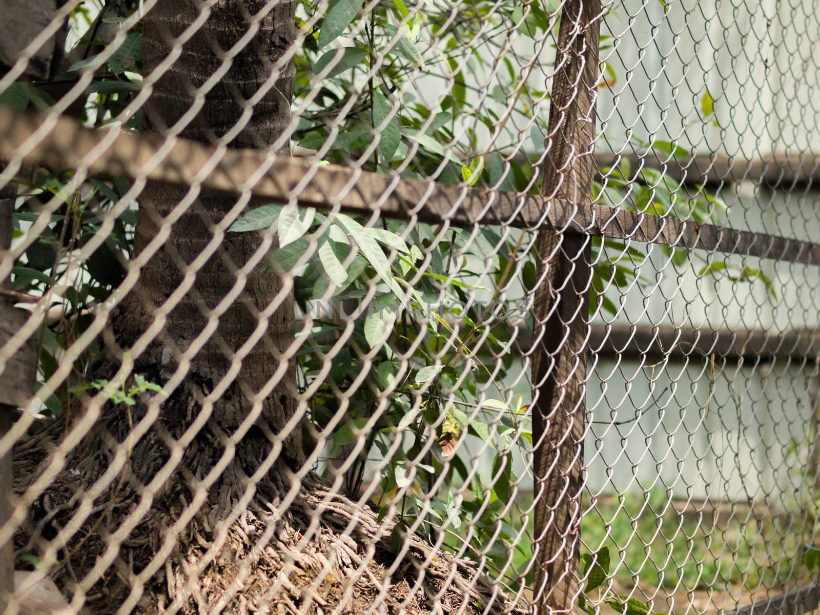 COLOR PHOTO OF CHAIN-LINK FENCE (ALSO REFERRED TO AS WIRE NETTING, WIRE-MESH FENCE, CHAIN-WIRE FENCE, CYCLONE FENCE, HURRICANE FENCE, OR DIAMOND-MESH FENCE)