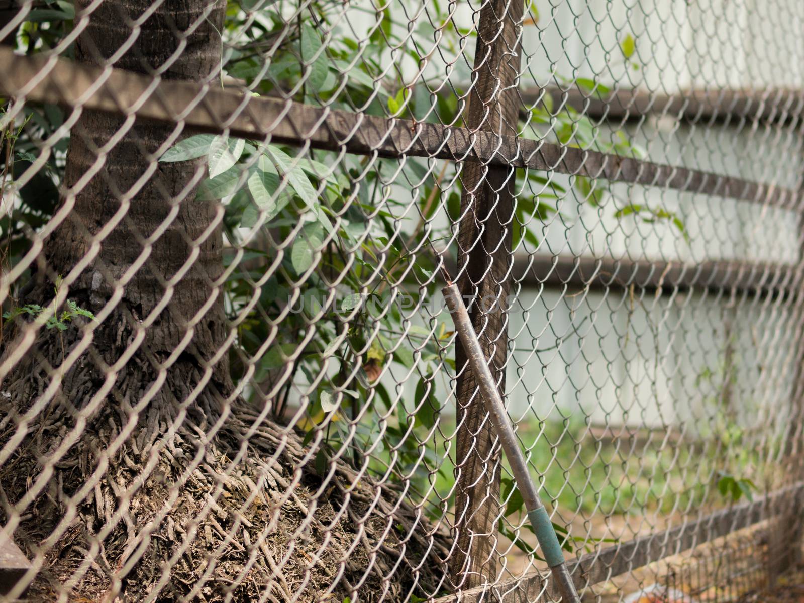 COLOR PHOTO OF CHAIN-LINK FENCE (ALSO REFERRED TO AS WIRE NETTING, WIRE-MESH FENCE, CHAIN-WIRE FENCE, CYCLONE FENCE, HURRICANE FENCE, OR DIAMOND-MESH FENCE)