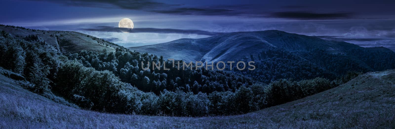 panoramic summer landscape under dark sky with clouds. hillside meadow on Borzhava mountain ridge in Carpathians at night in full moon light