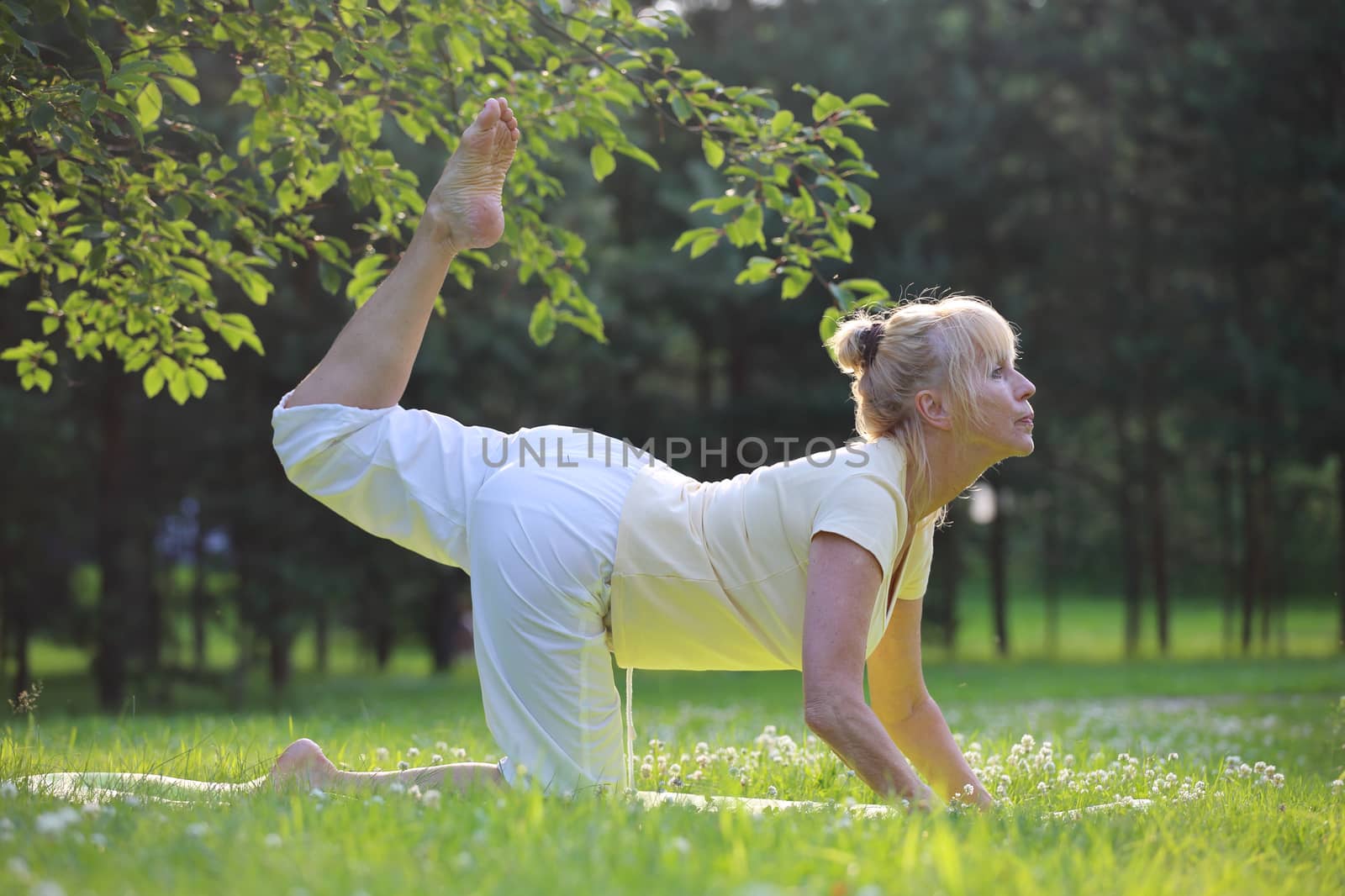 Yoga woman in park by destillat