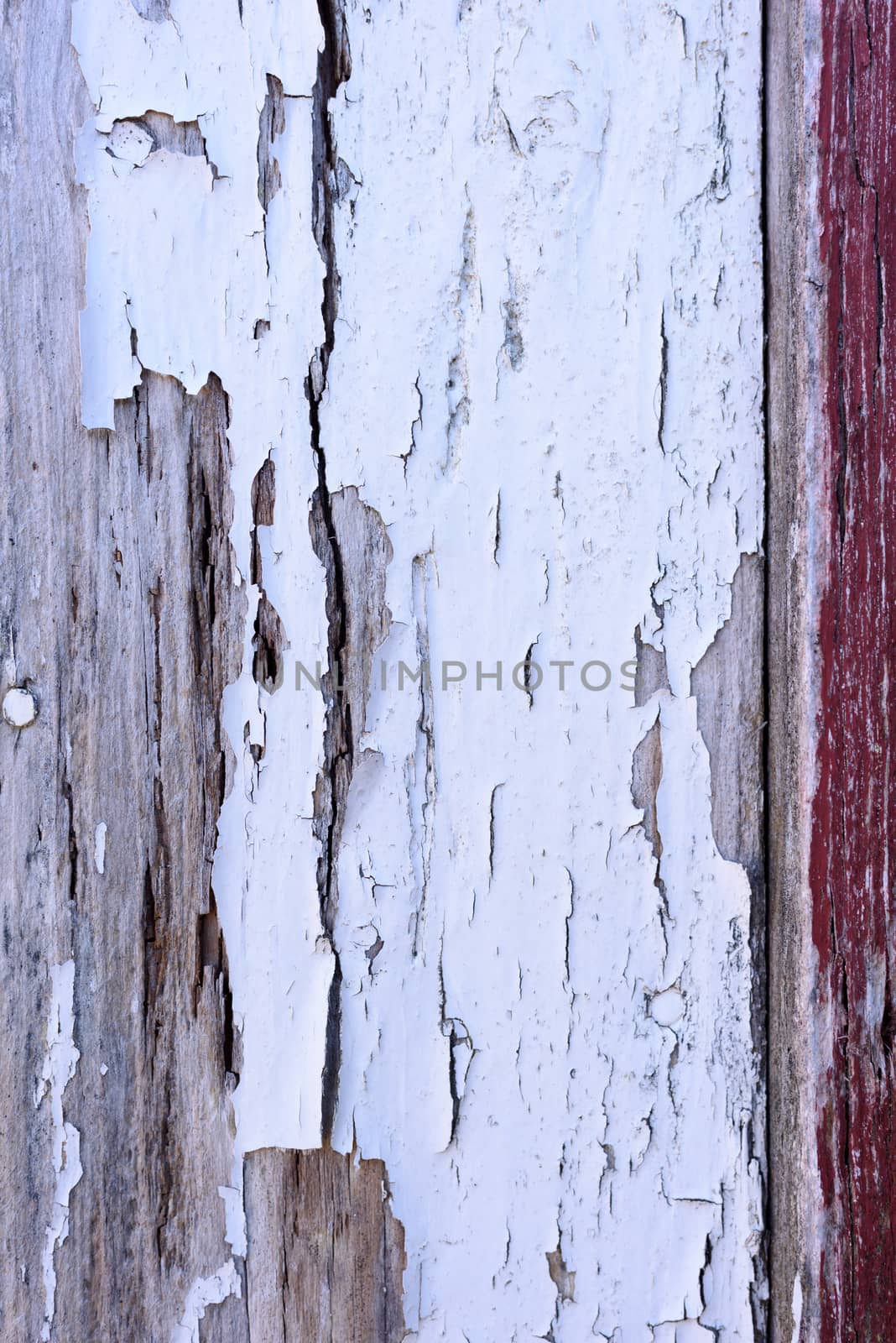 Crackled white paint on wooden wall.