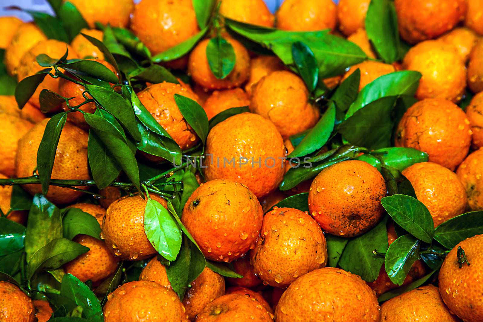 Leaf clementines on a swimming market in Thailand by Makeral