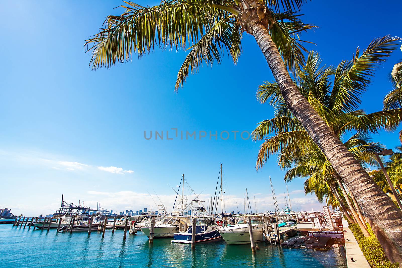 View of the marina in Miami Florida by Makeral