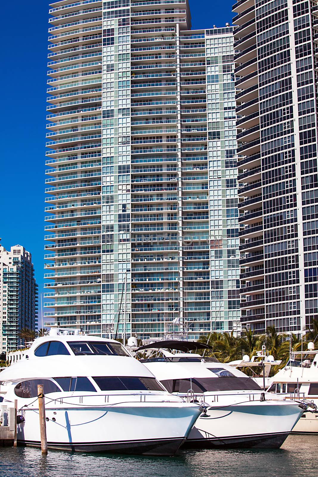 Marina in Miami Florida in front of skyscrapers