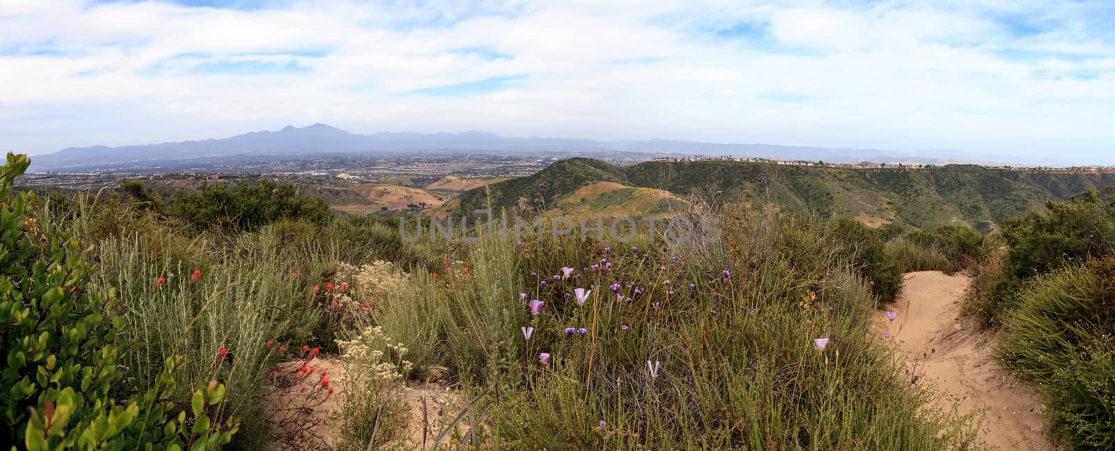 Aliso and Wood Canyons Wilderness Park hiking paths in Laguna Beach, California in spring