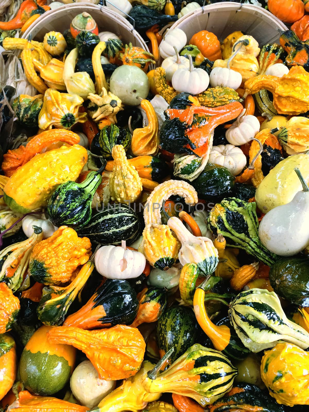 Baskets with colorful decorative gourds at the autumn market.