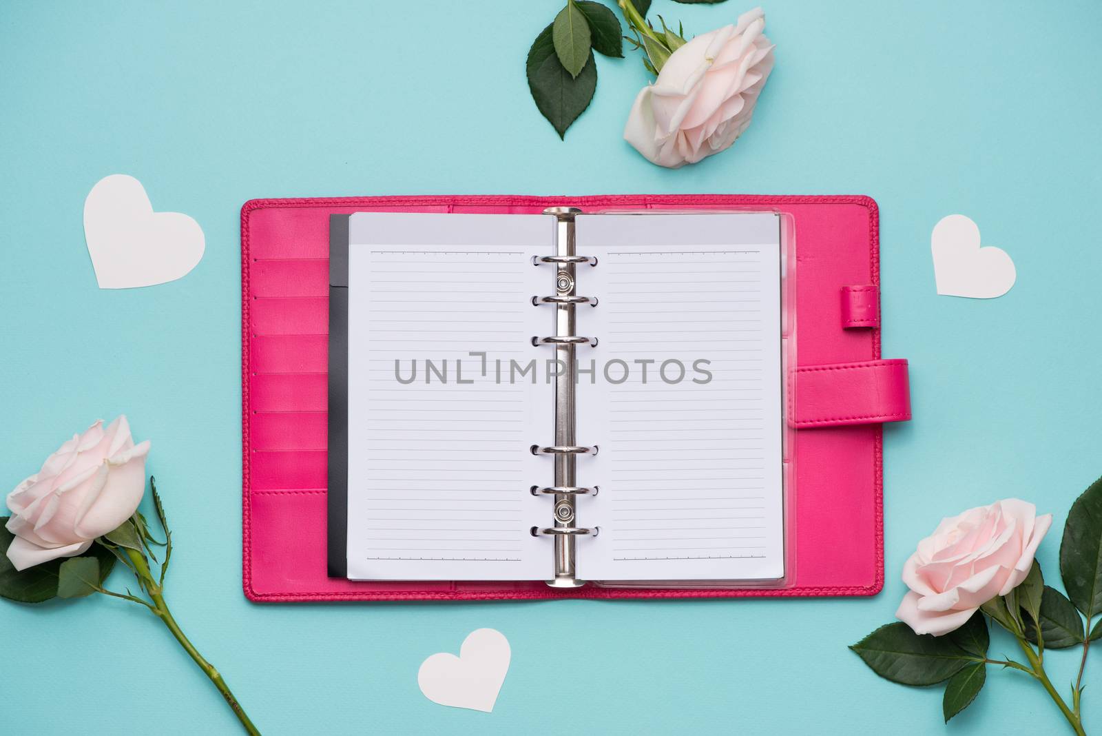 Mother's Day concept. Pink roses with gift box. Open notebook for copy space.