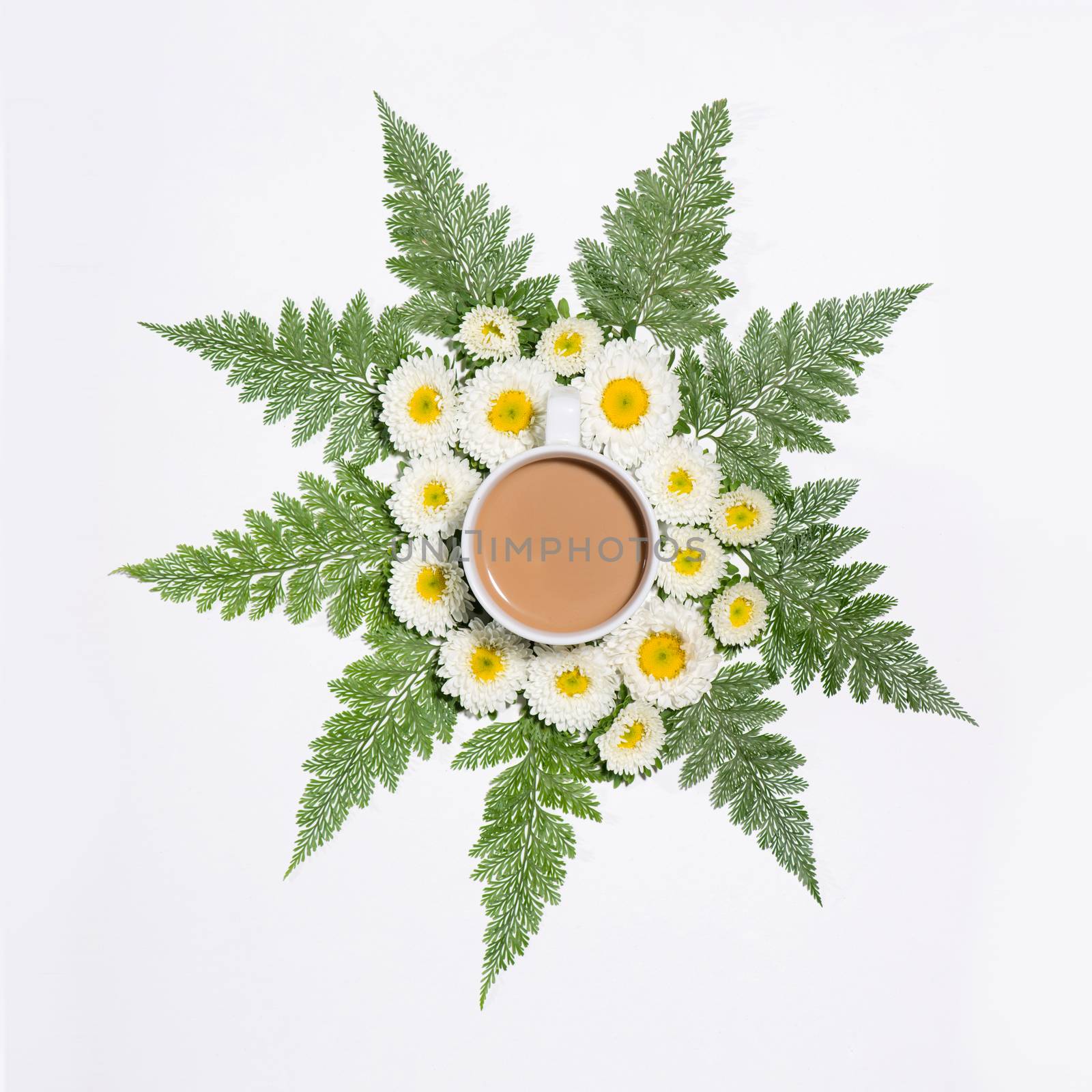 Flat lay of green leaves and flowers pattern with cup of coffee on white background