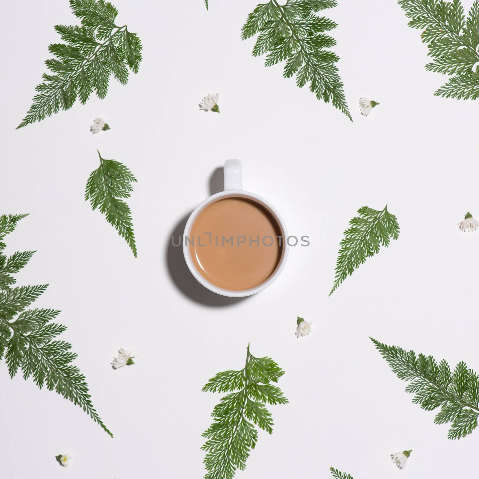 Flat lay of green leaves pattern with cup of  coffee on white ba by makidotvn