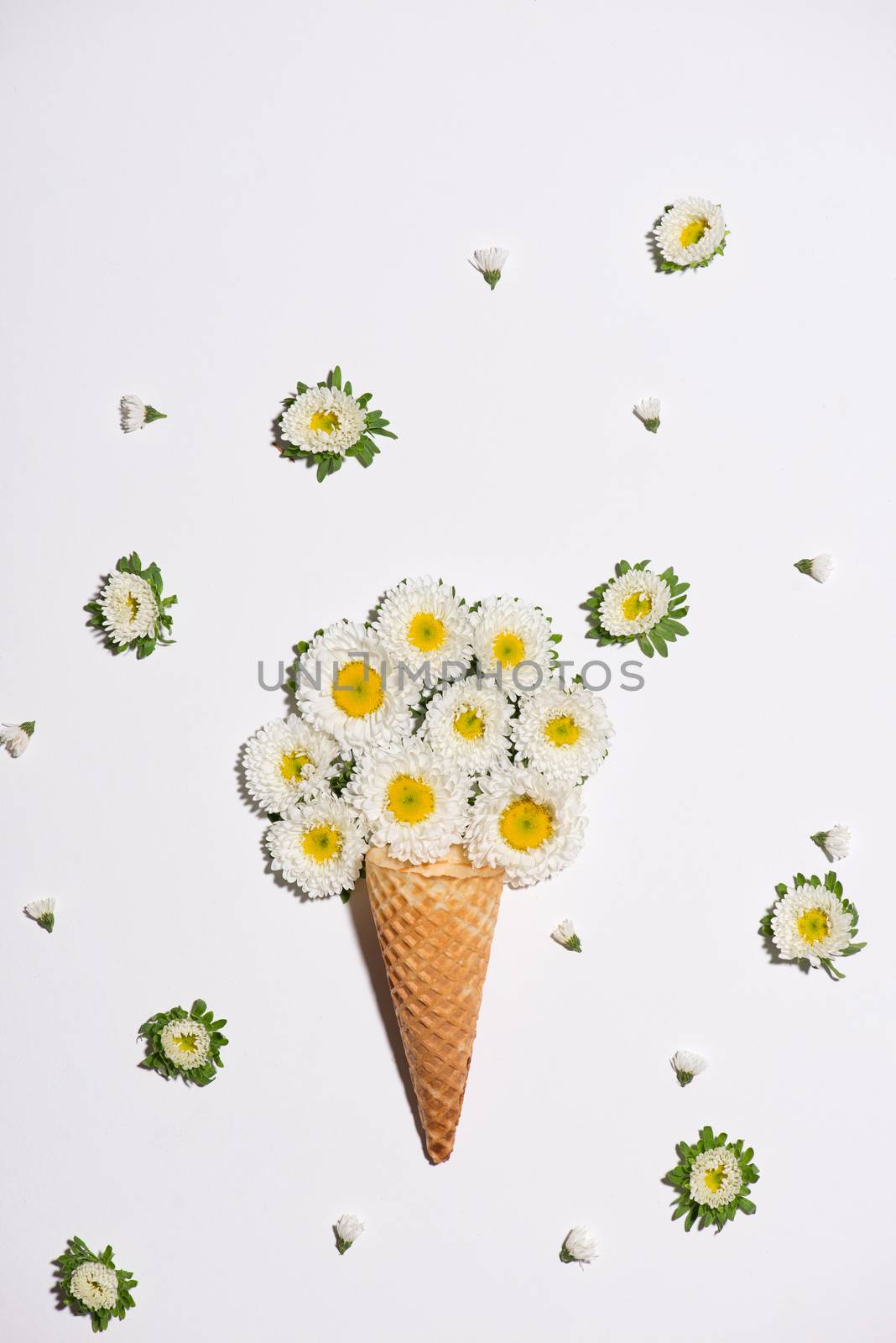 Top view of flowers in the waffle cone 