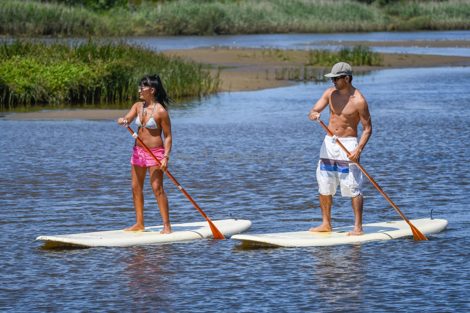 Man and woman stand up paddleboarding on lake. Young couple are doing watersport on lake. Male and female tourists are in swimwear during summer vacation.