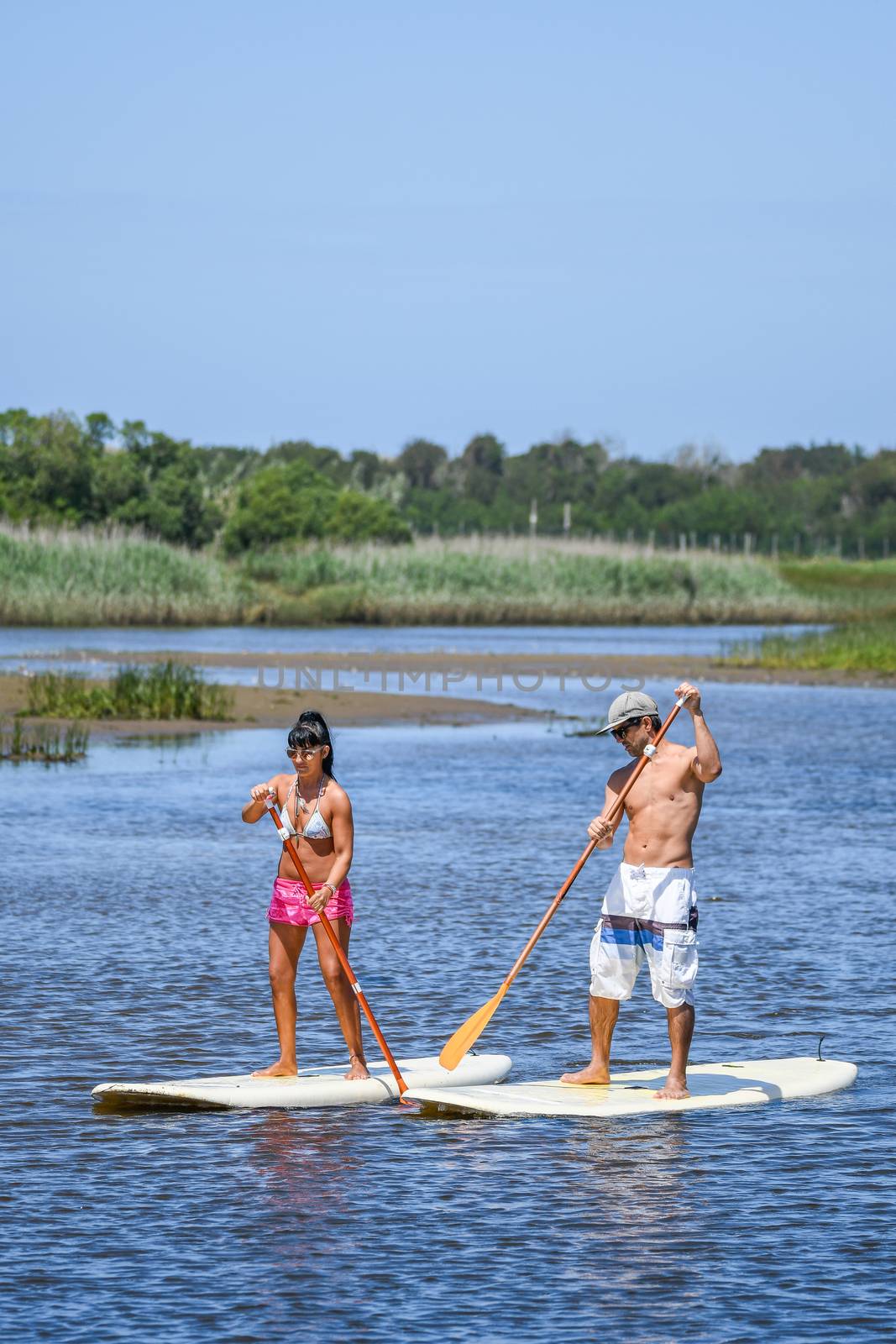 Man and woman stand up paddleboarding on lake. Young couple are doing watersport on lake. Male and female tourists are in swimwear during summer vacation.