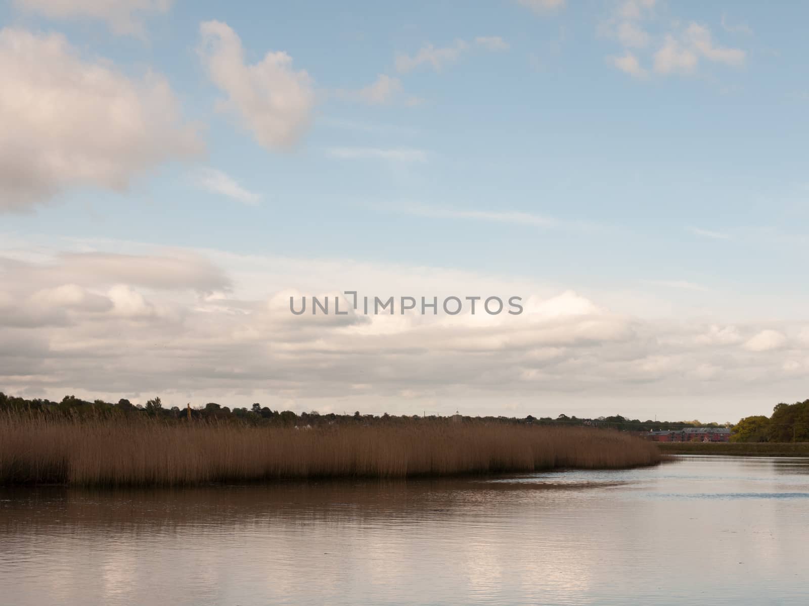 cloudy and blue sky over a lake with reeds serene by callumrc