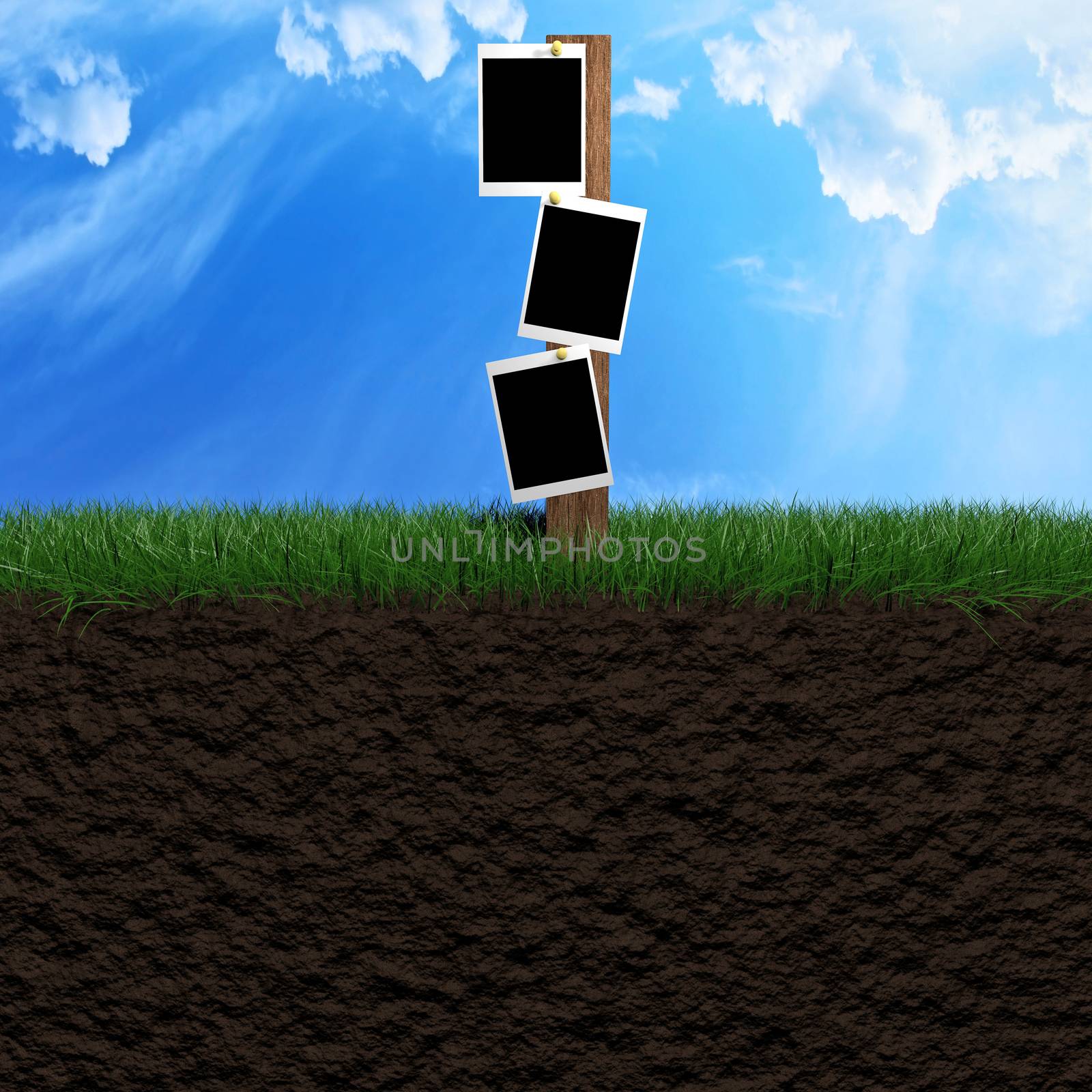 Pictures frames outside on a grass field with beautiful blue sky as background 3d illustration