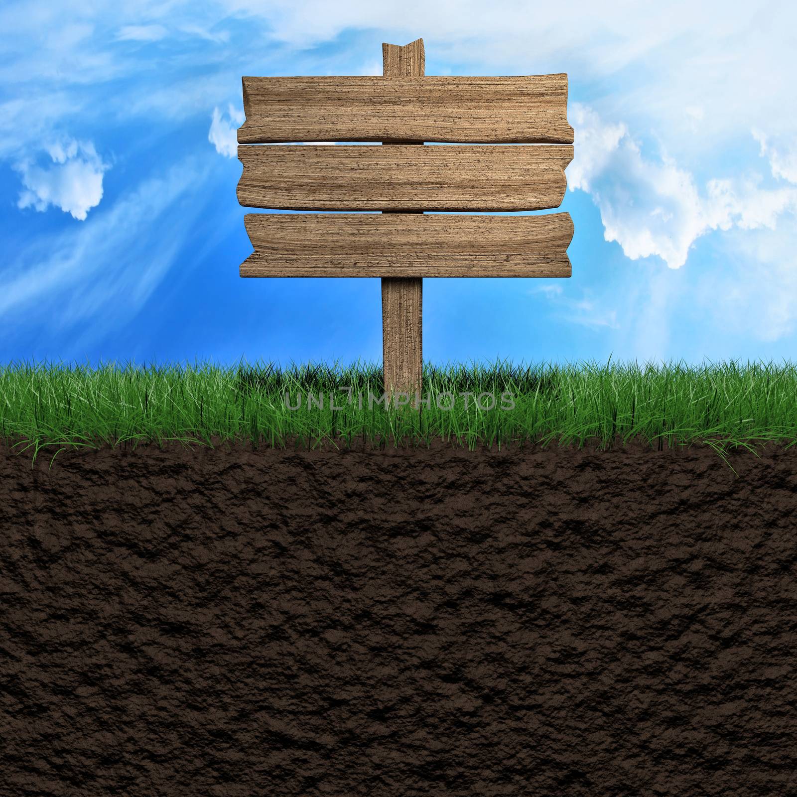 Wooden sign in grass park or garden 3d illustration