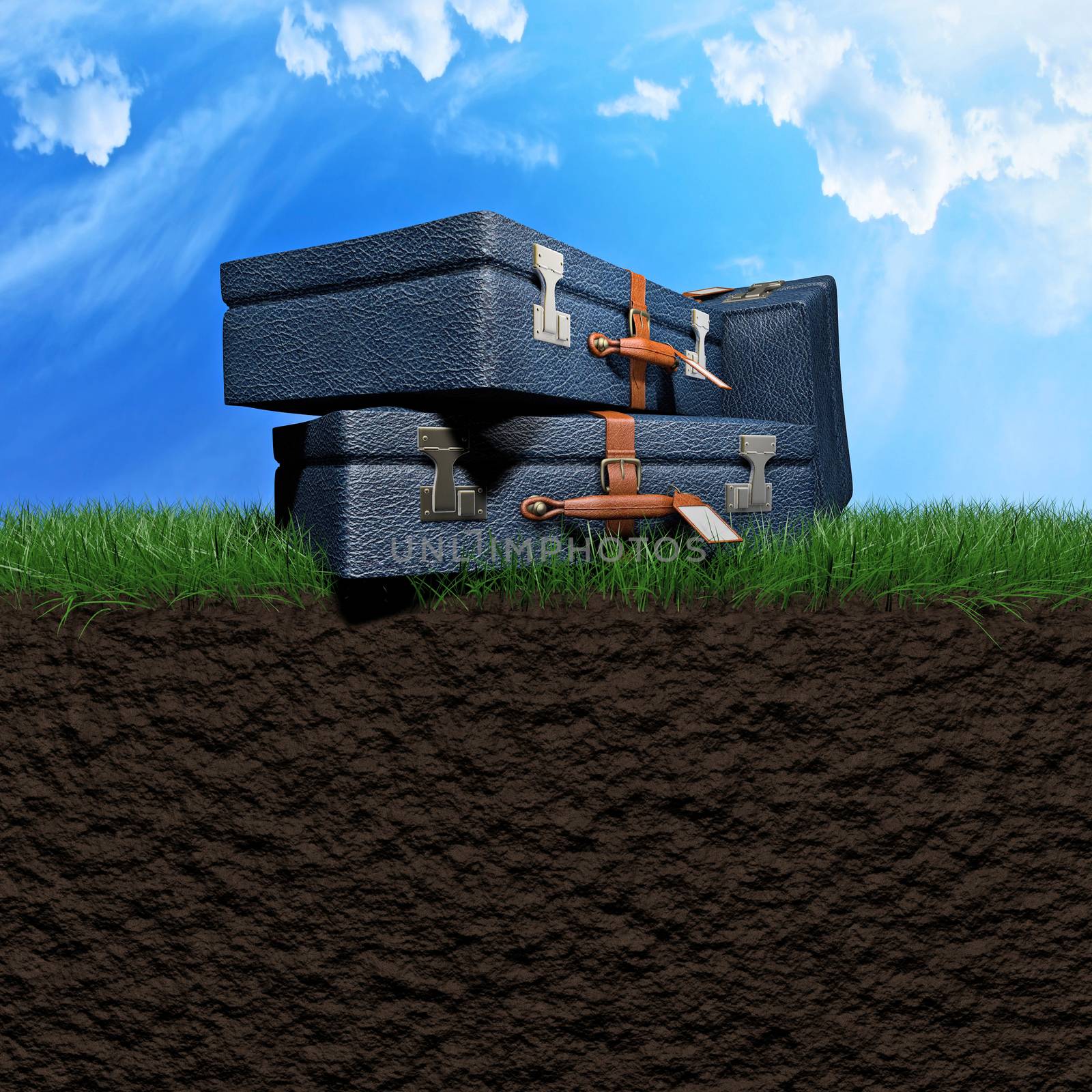 Traveling bags over a grass field 3d illustration
