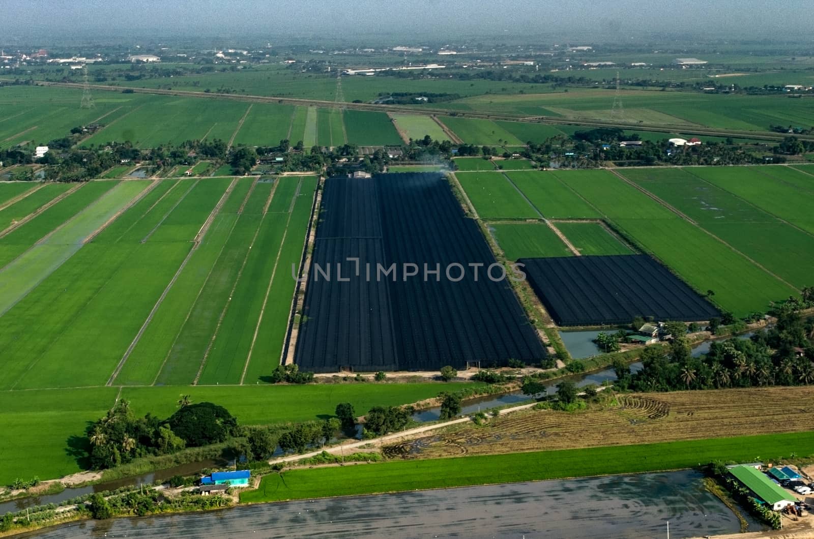 Organic Farming, Agriculture in Thailand Aerial Photography