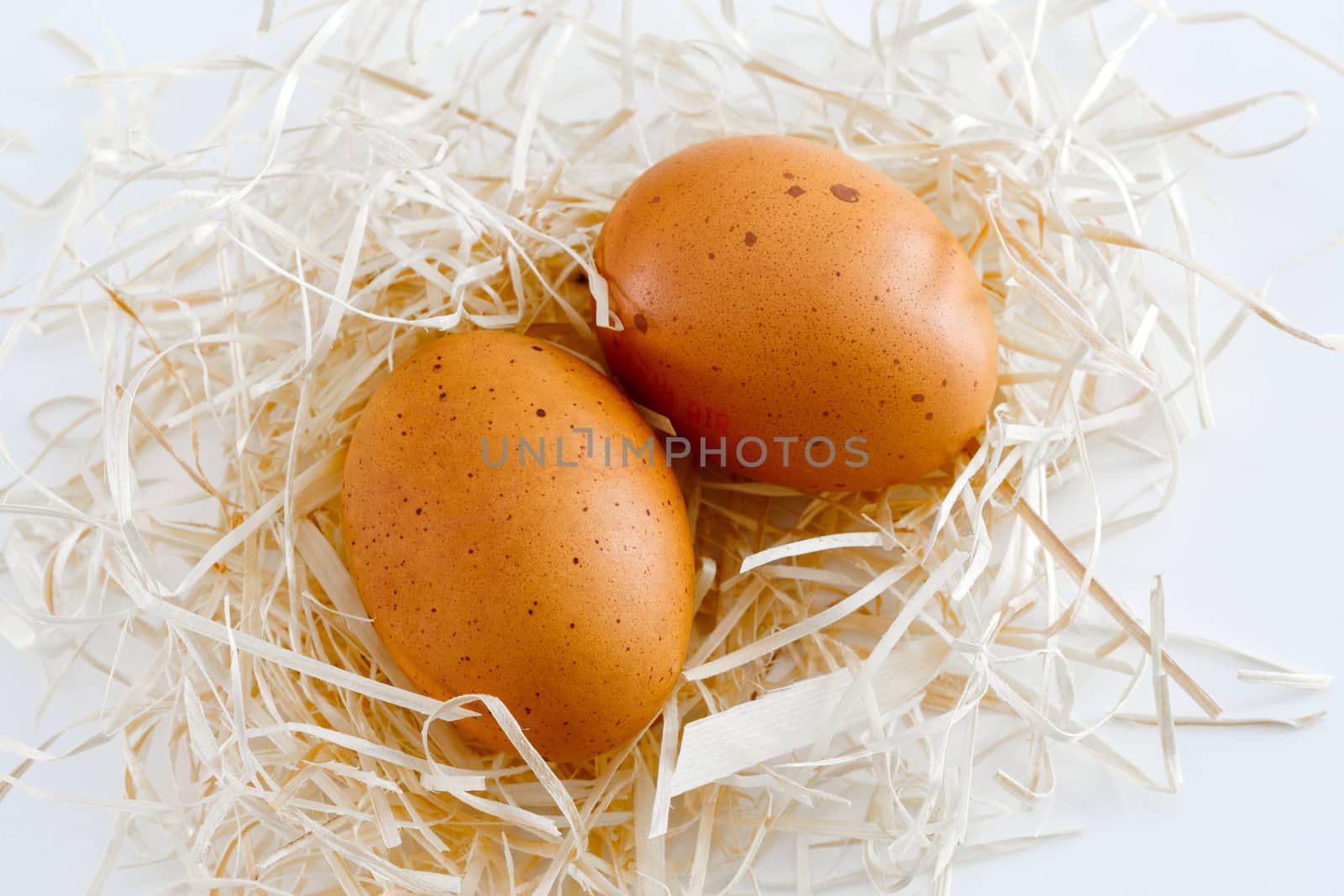 closeup on fresh eggs in a nest in white background by pixinoo