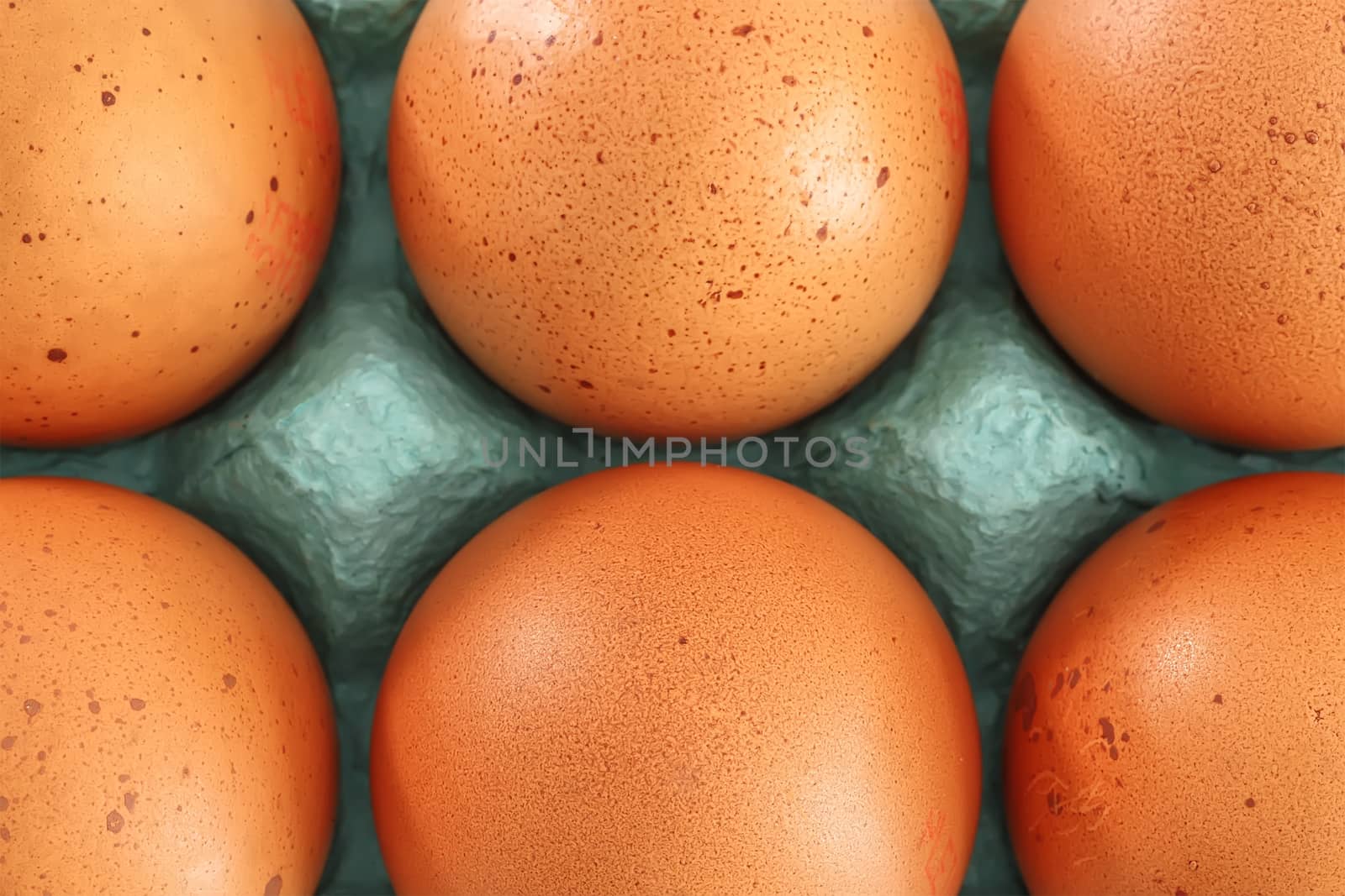 View of opened box of chicken eggs for market place by pixinoo