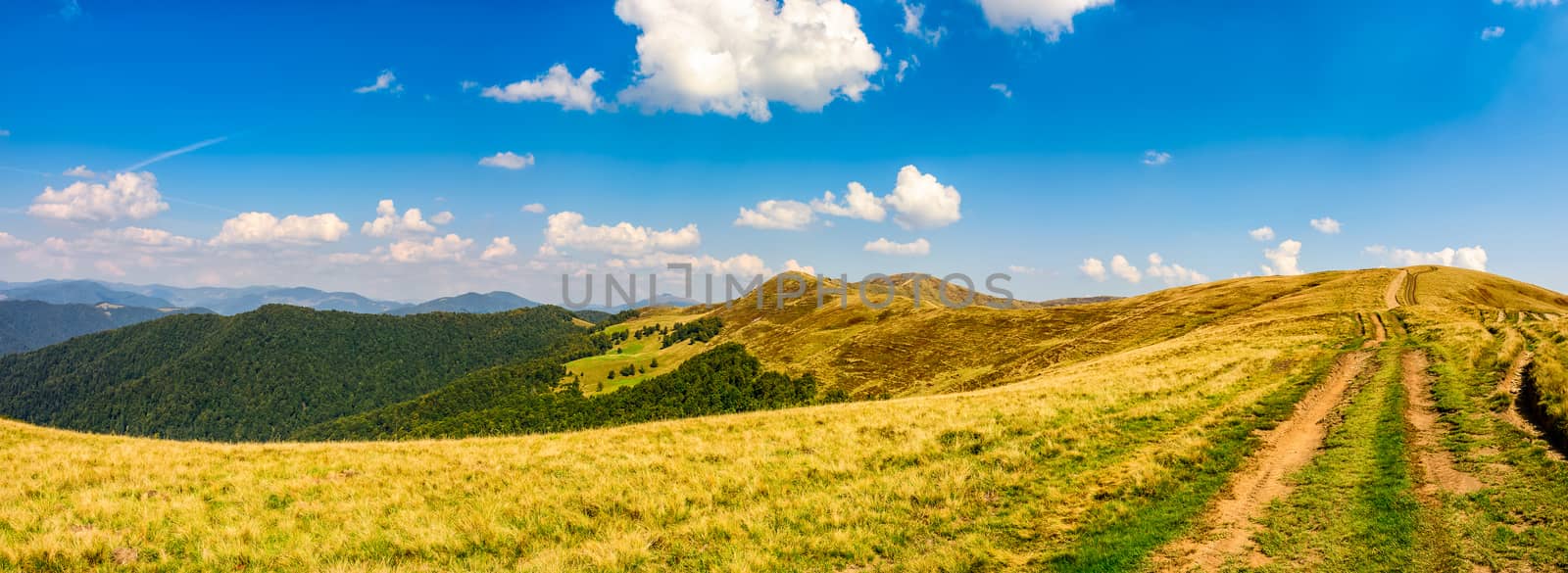path through the Carpathian mountain ridge  by Pellinni