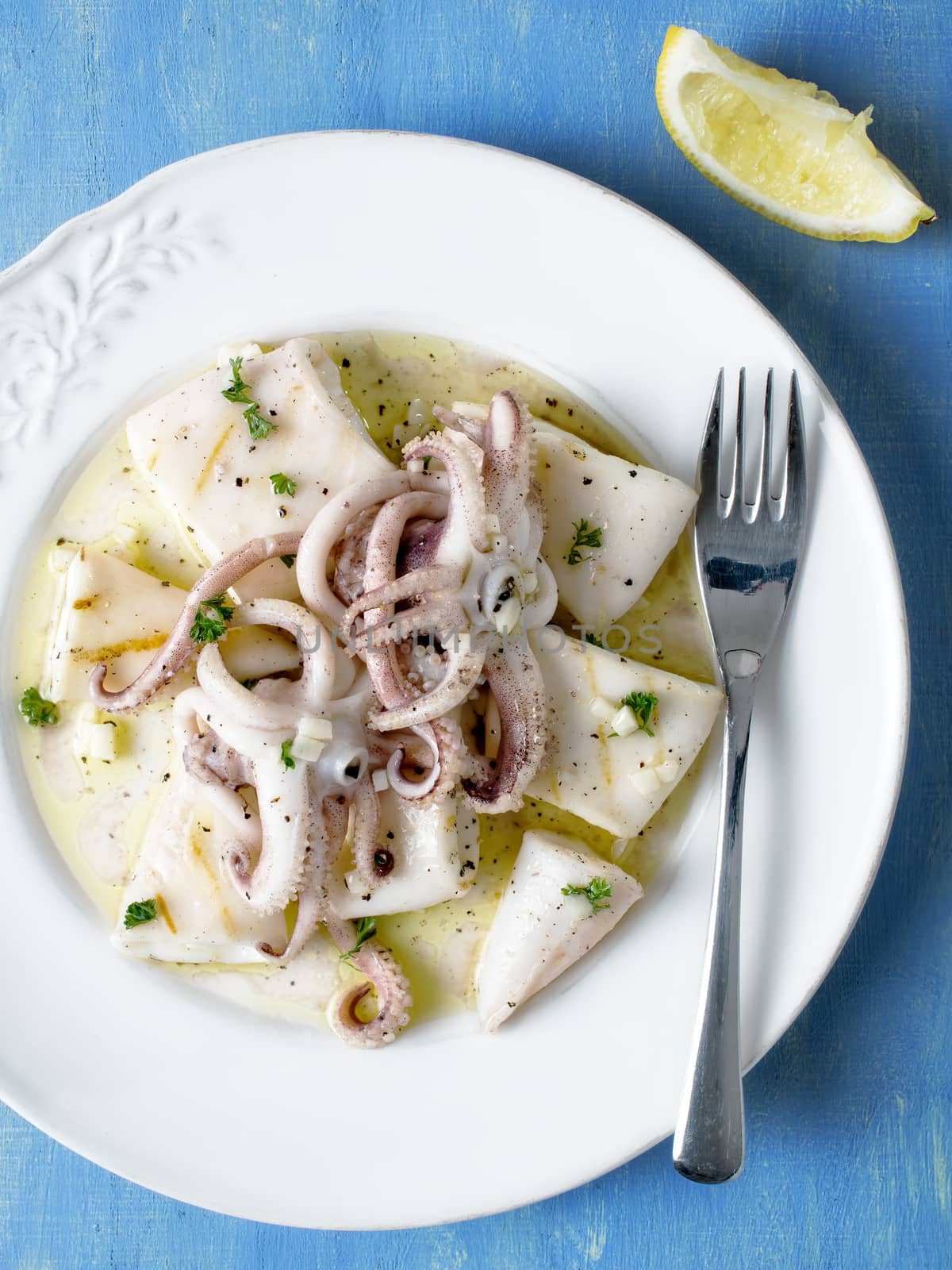 rustic mediterranean grill squid by zkruger