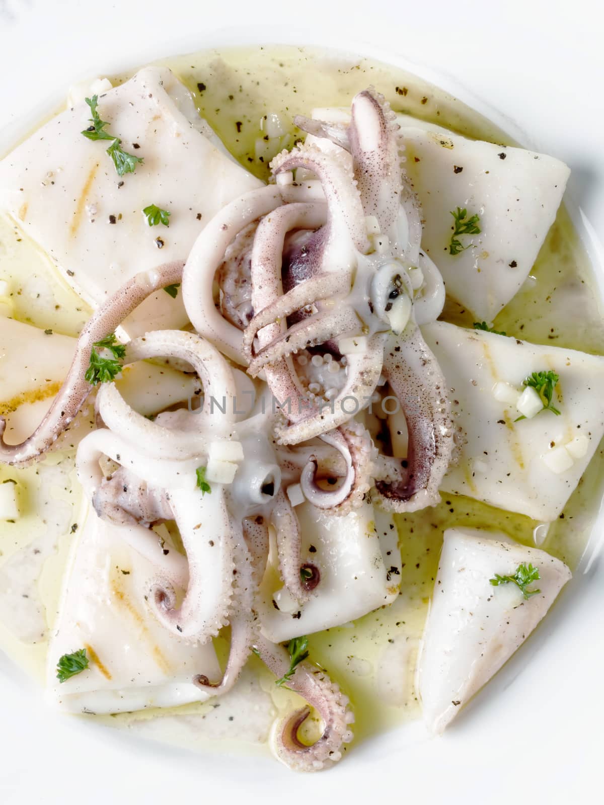 rustic mediterranean grill squid by zkruger