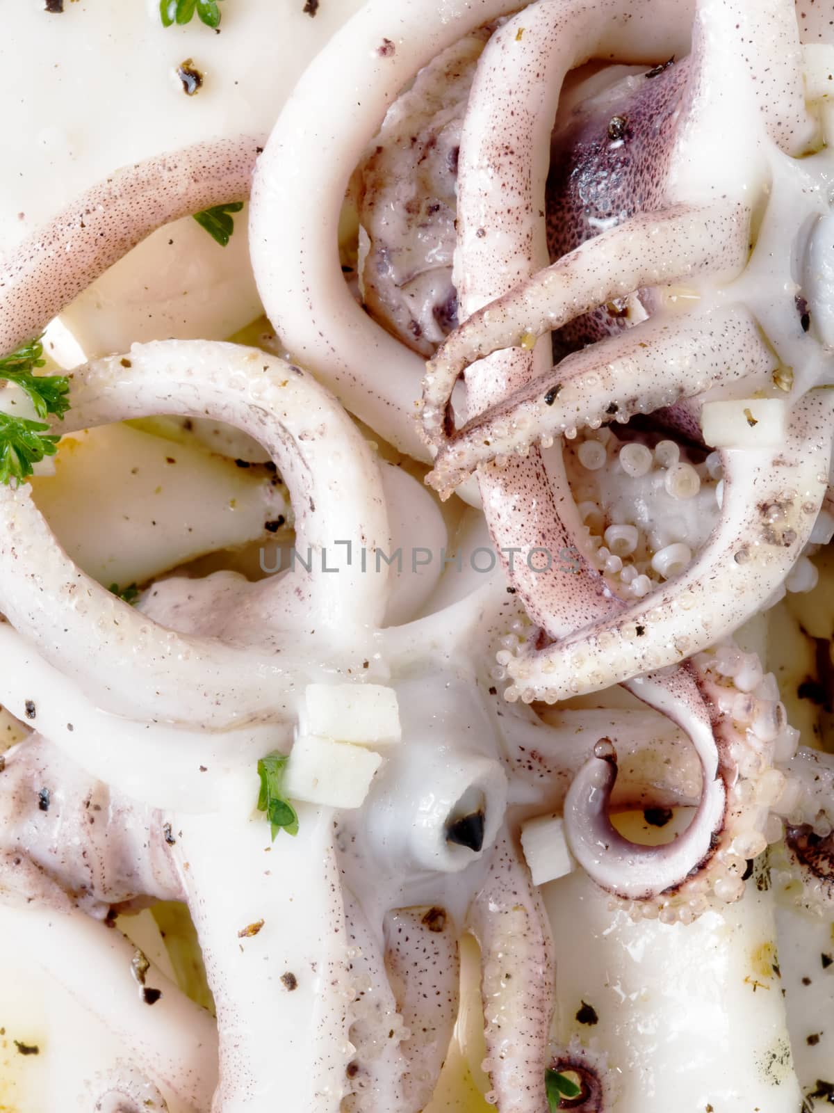 rustic mediterranean grill squid by zkruger