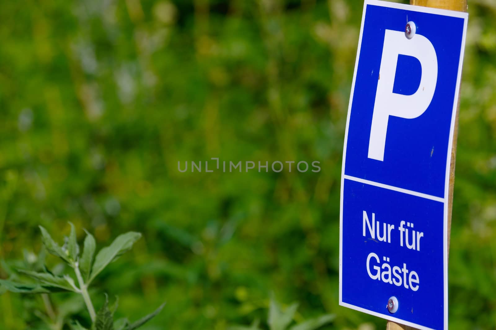 a blue parking sign with a big P on it on green background