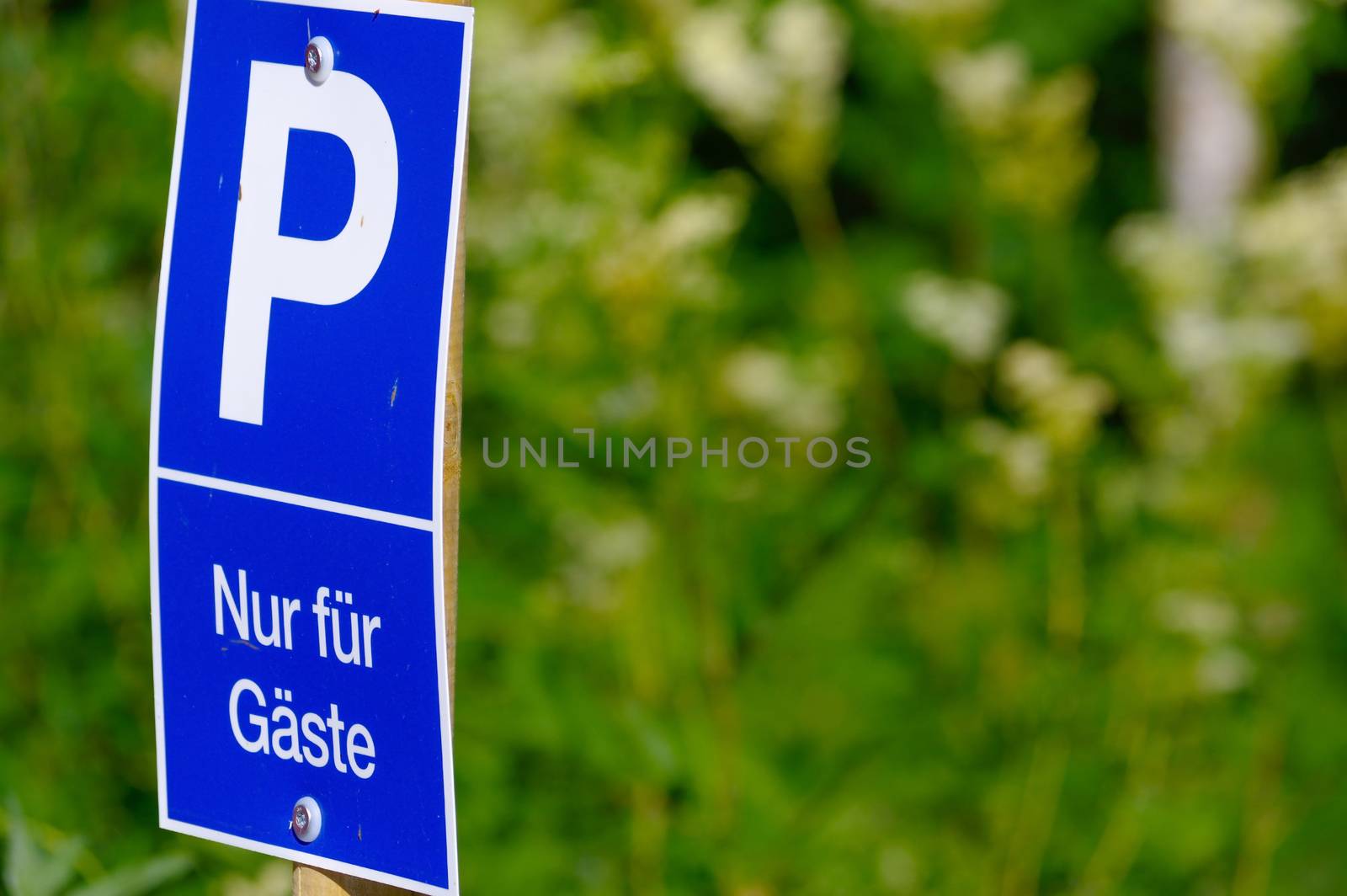 blue parking sign with a big P on it, green background. only for guests - in German by evolutionnow