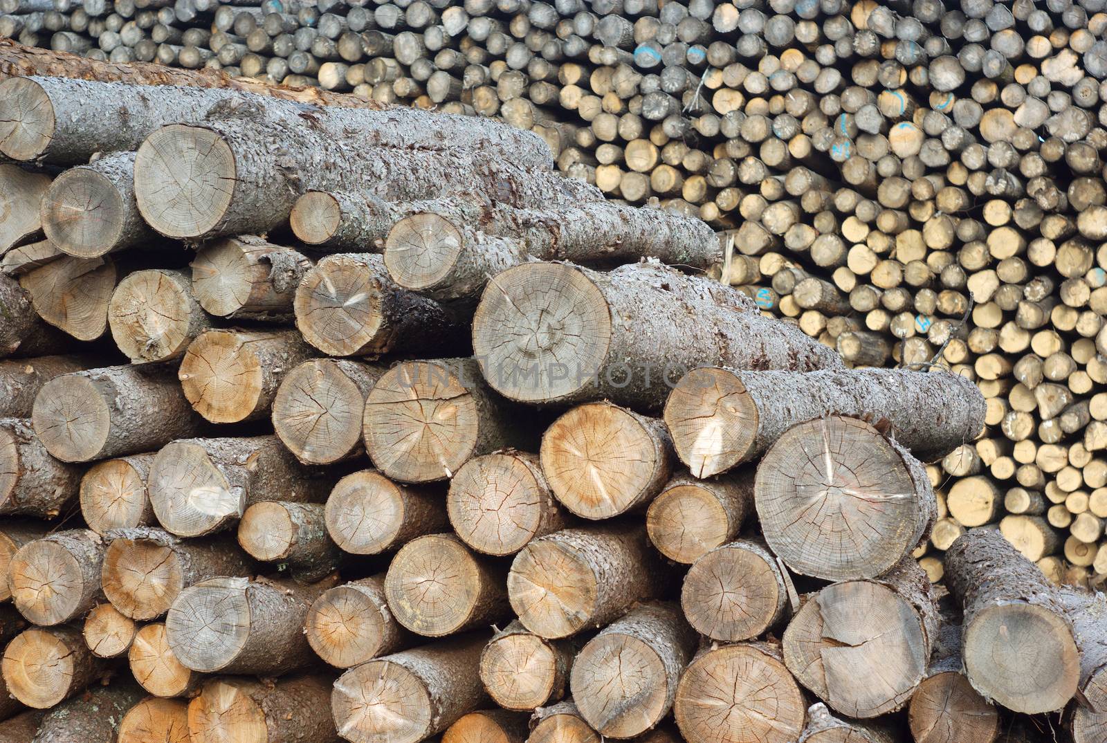sawmill yard wood stack lumber logs construction industry by jacquesdurocher