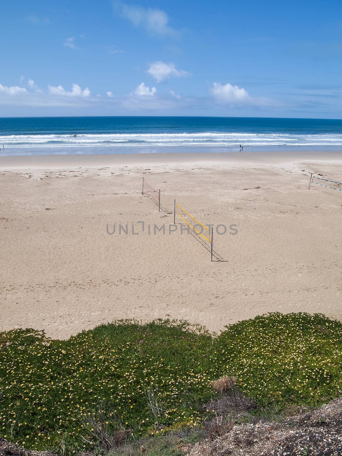 beach volleyball net with ocean in background