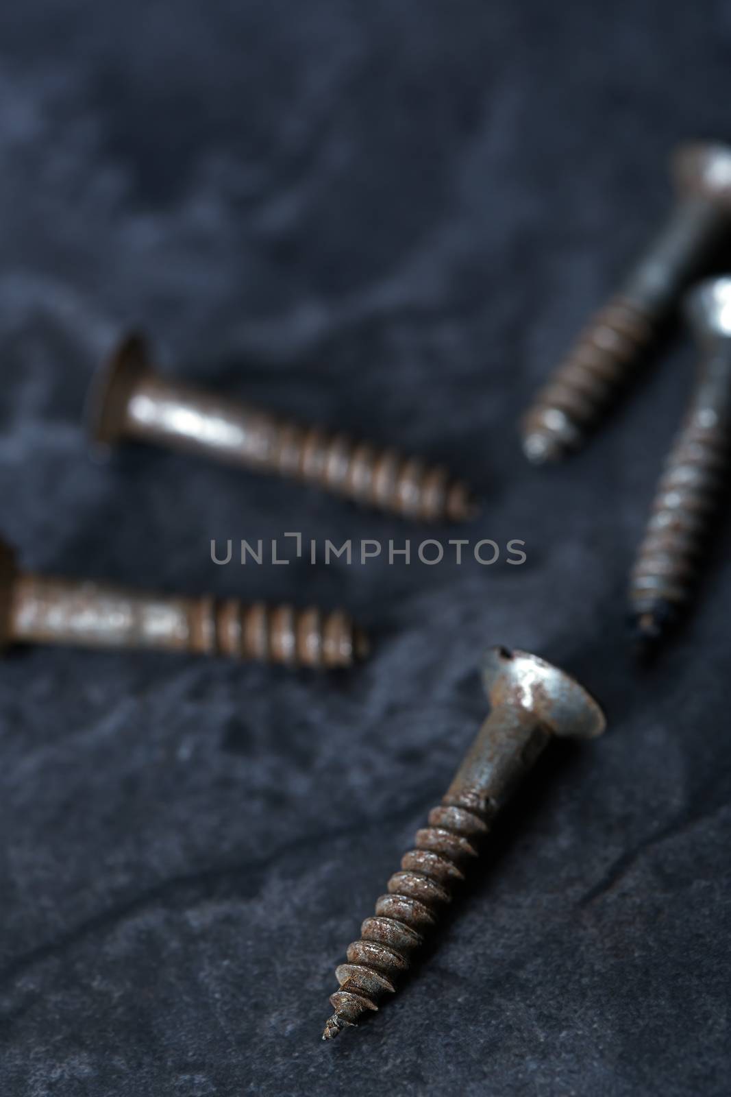 Group of rusty screws by Novic