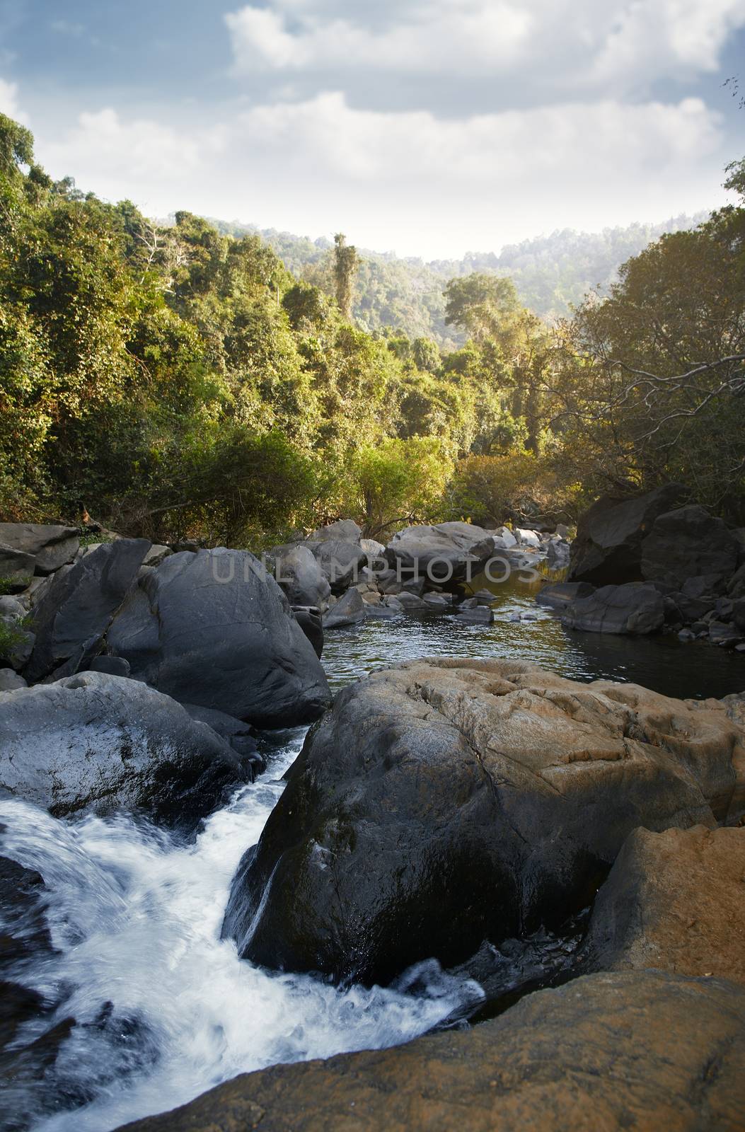 Indian jungle with shallow river between stones. Natural light and colors