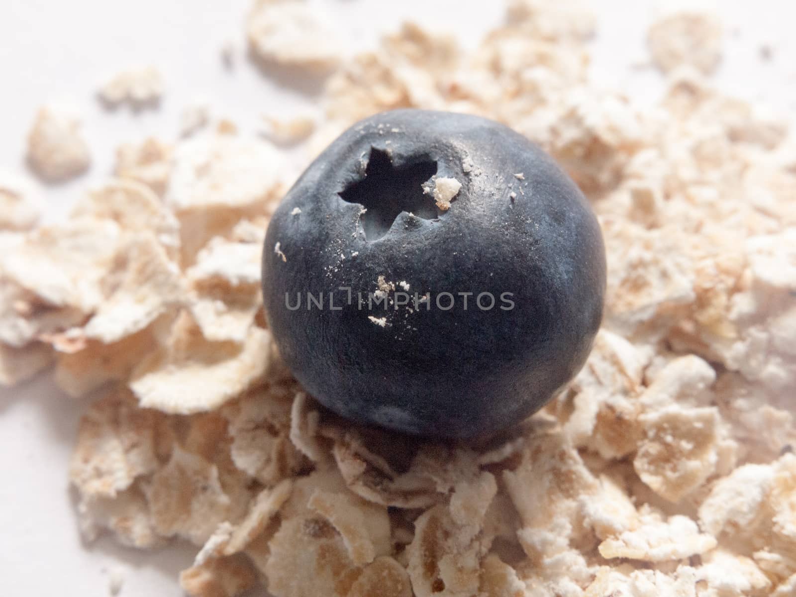 a blueberry on a pile of oats close up in studio