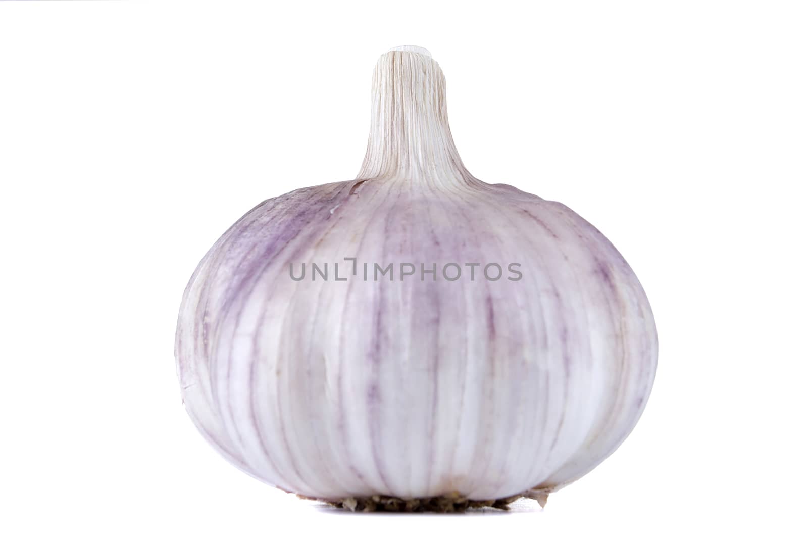 Ripe fresh garlic on white isolated background