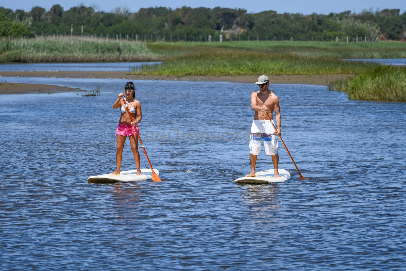 Man and woman stand up paddleboarding on lake. Young couple are doing watersport on lake. Male and female tourists are in swimwear during summer vacation.