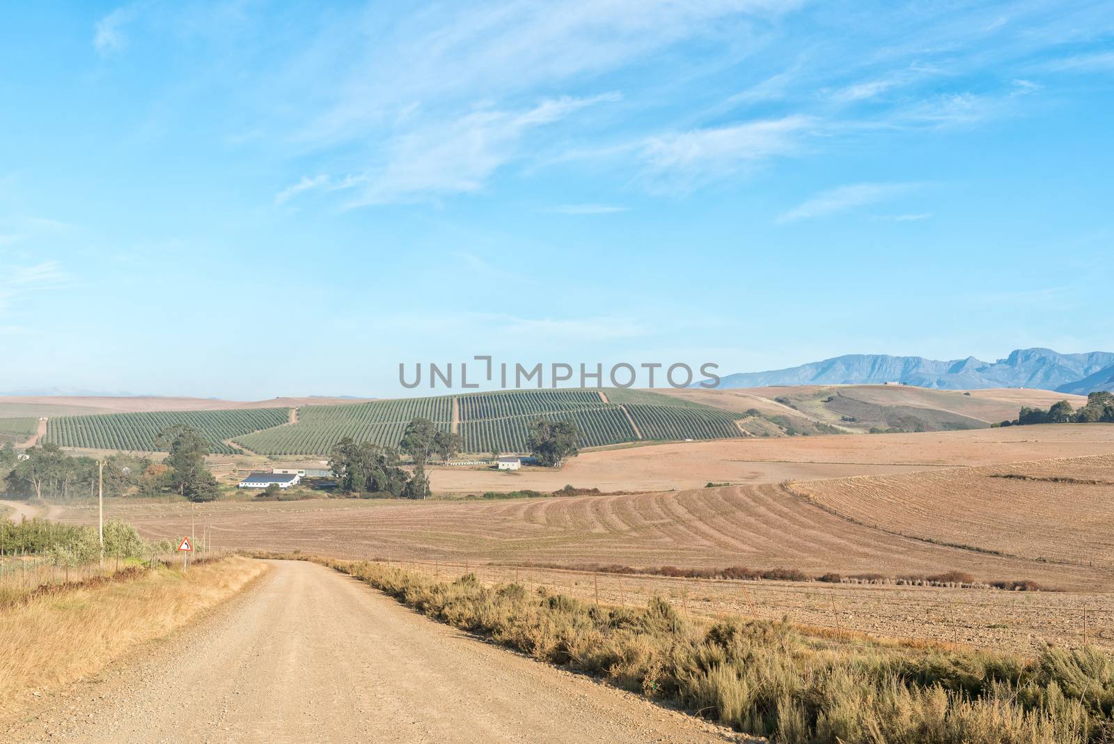 A farm landscape on the road between Riviersonderend town and Greyton in the Western Cape Province