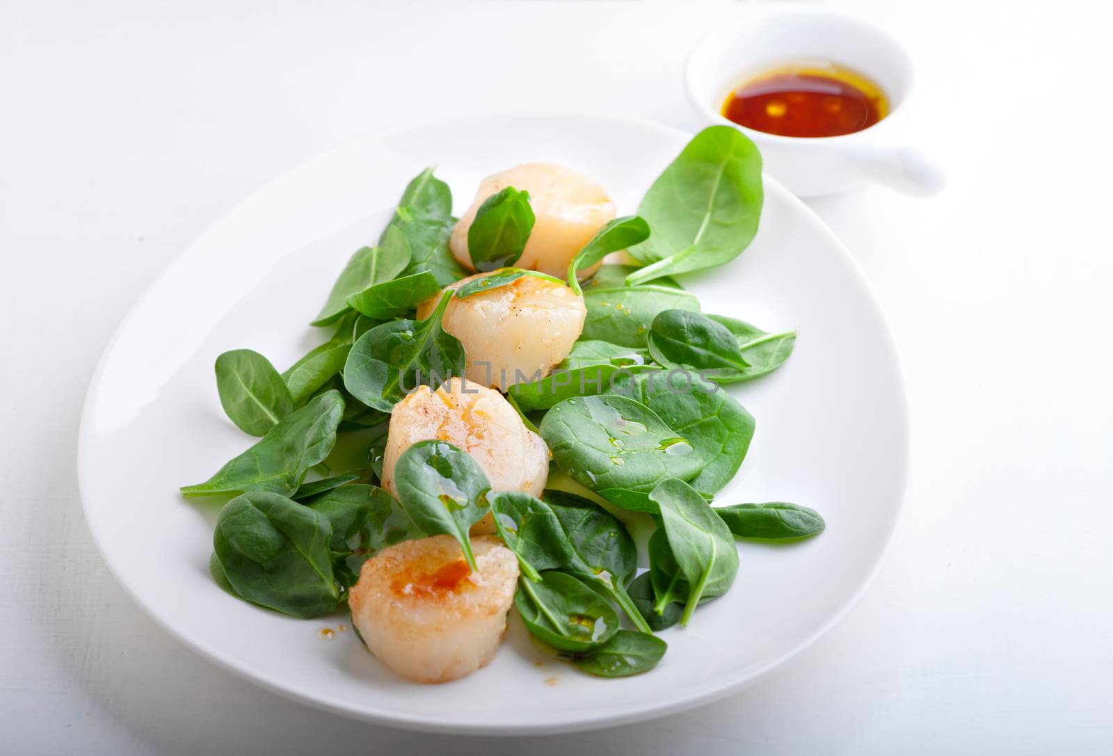 Scallop Salad with greenery served on a white plate