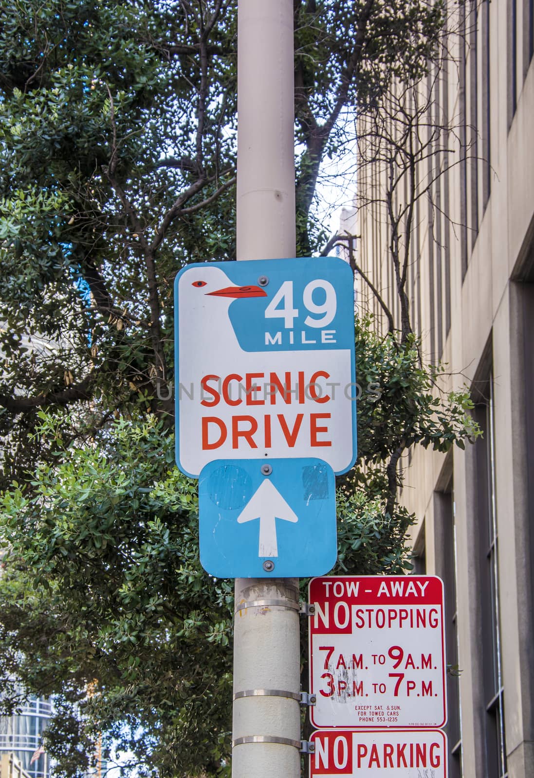 San Francisco sign of scenic drive 49 mile