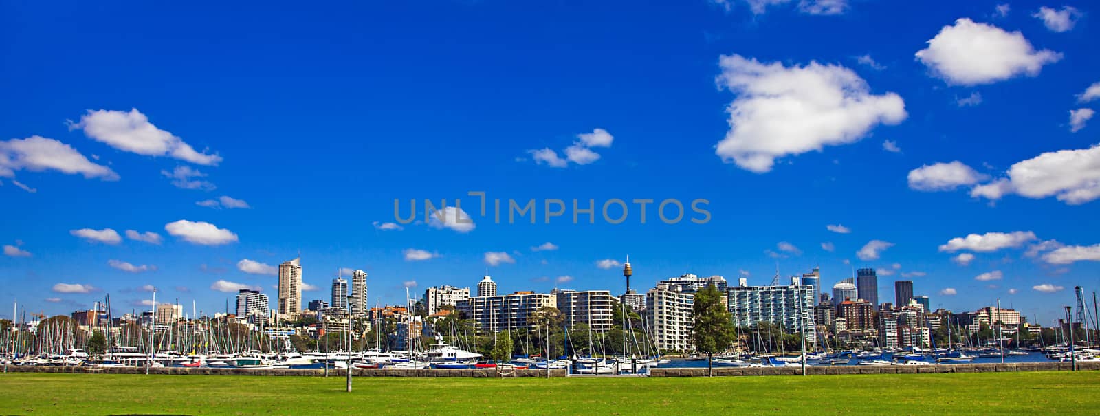 Skyline of Sydney New South Wales Australia by Makeral