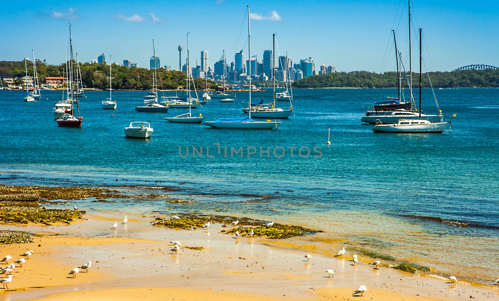 Camp Cove Beach in Sydney New South Wales Australia