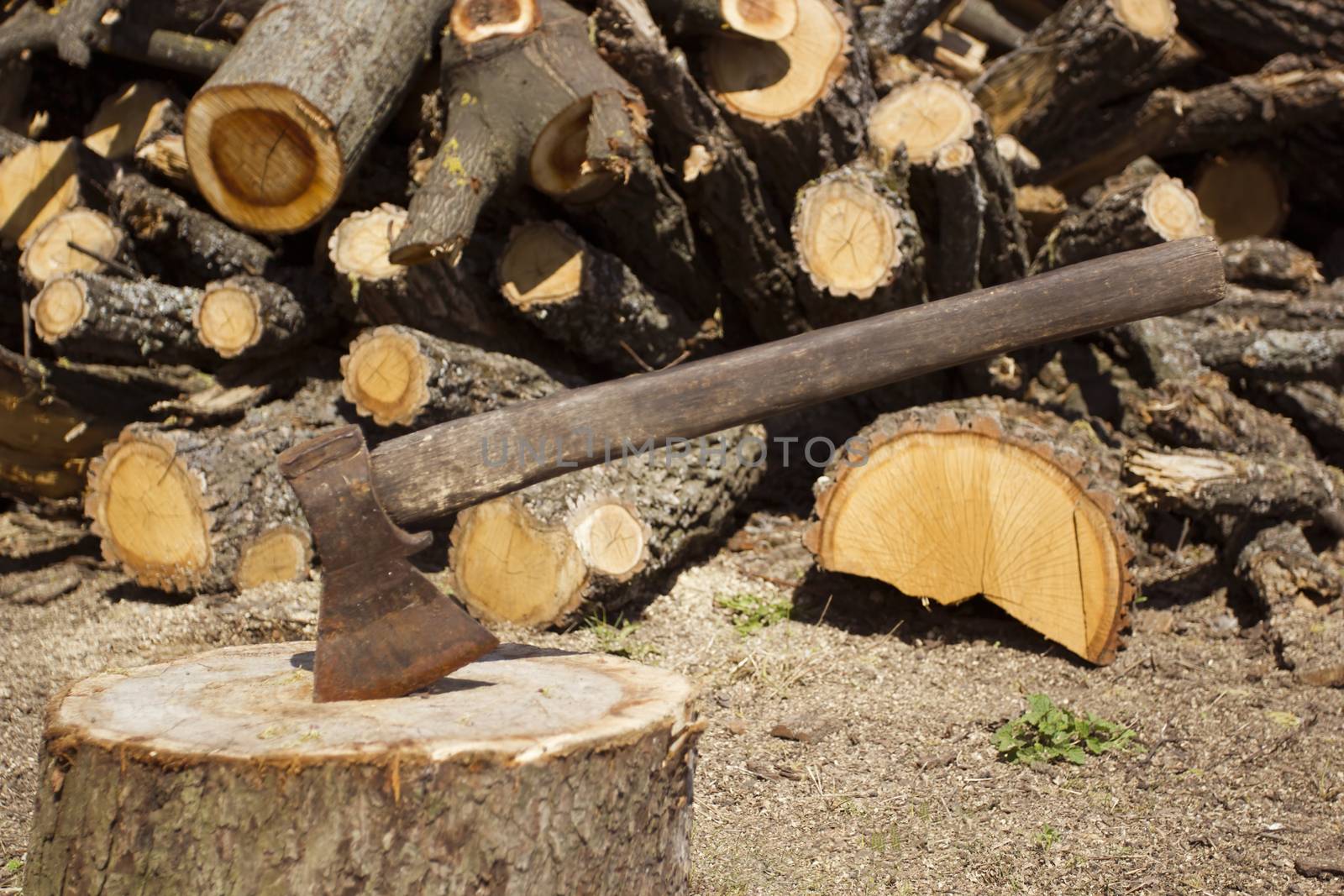 Close up shot of an axe in a stump with firewood in the background.
