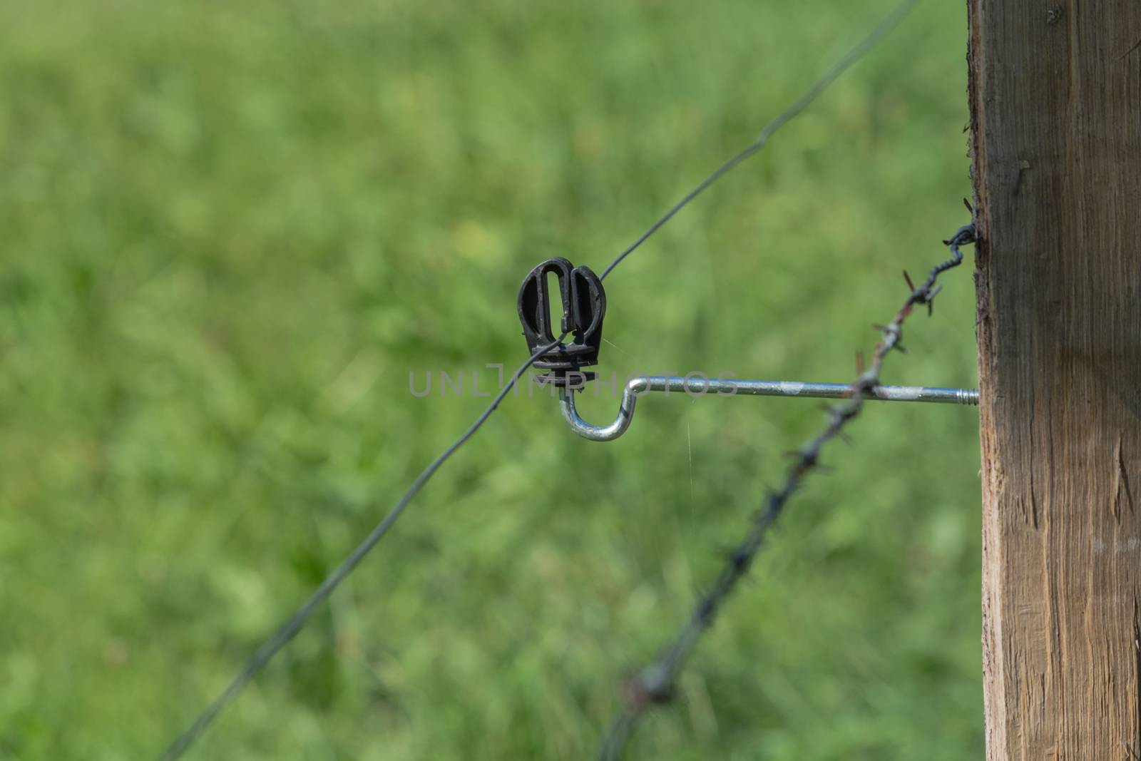 Insulator of an electric fence.    by JFsPic